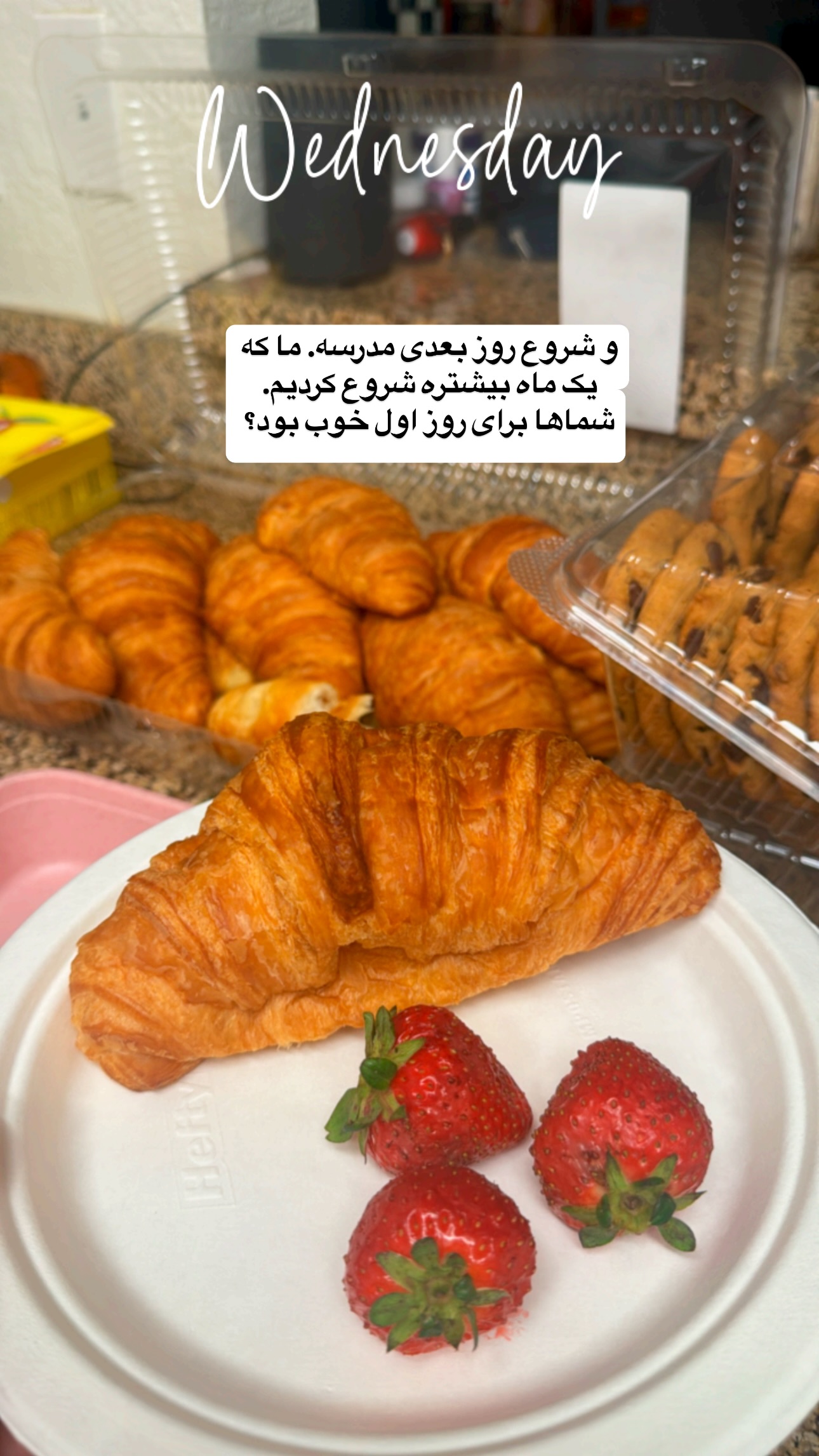  جدید ترین استوری اینستاگرام فرشیده کوچک
