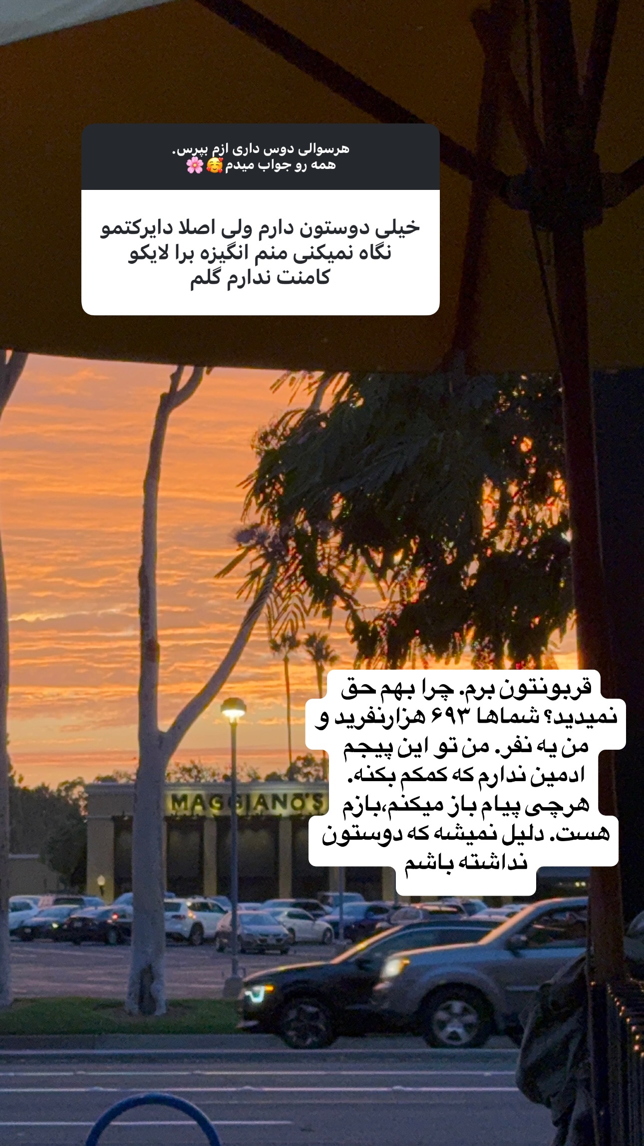  جدید ترین استوری اینستاگرام فرشیده کوچک