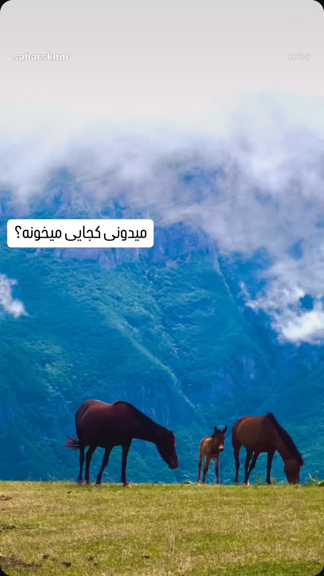  جدید ترین استوری اینستاگرام فرشیده کوچک