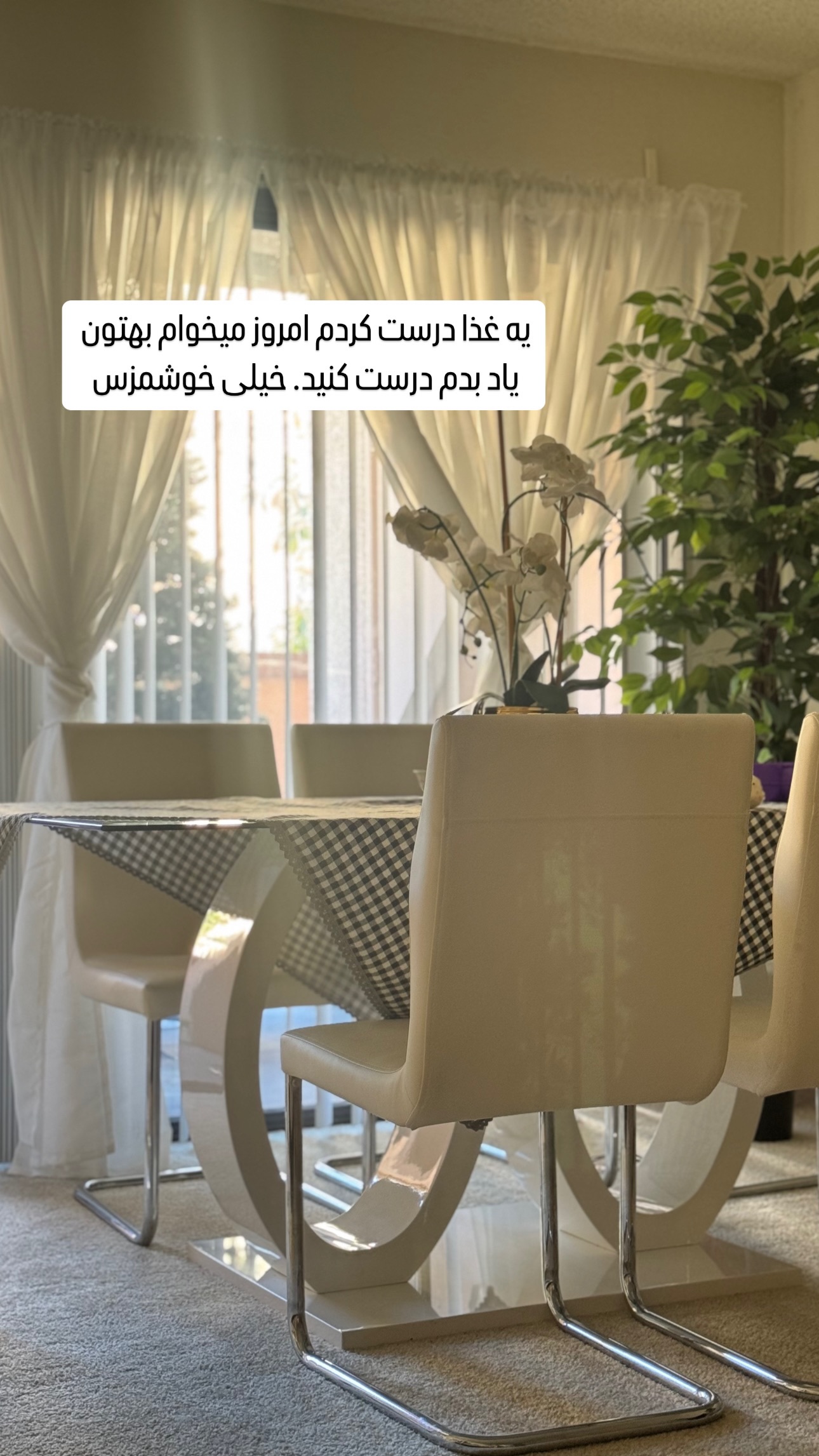  جدید ترین استوری اینستاگرام فرشیده کوچک