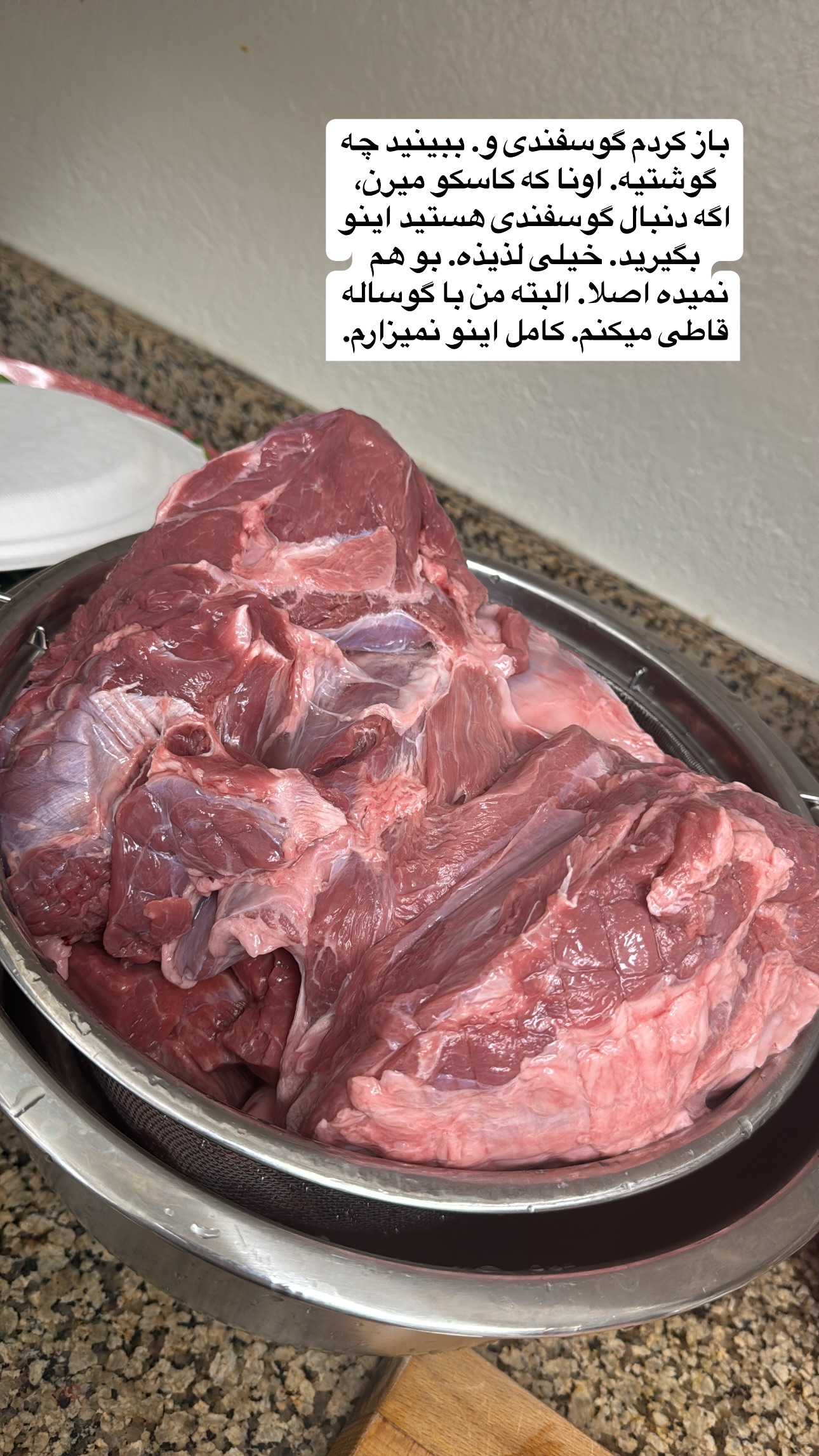  جدید ترین استوری اینستاگرام فرشیده کوچک