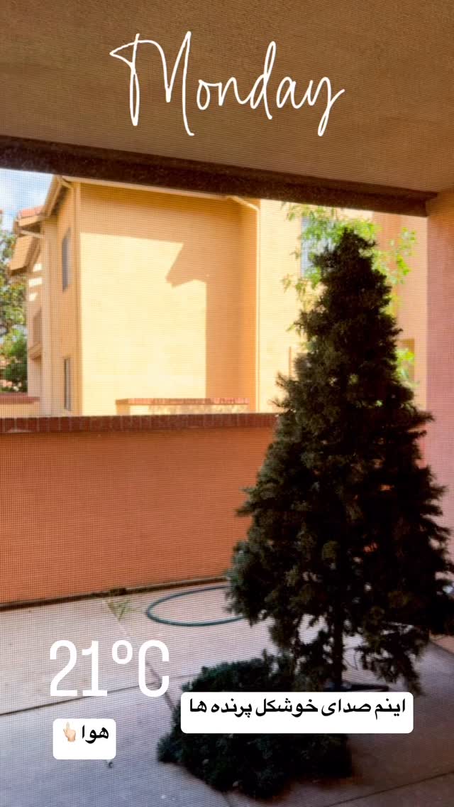  جدید ترین استوری اینستاگرام فرشیده کوچک