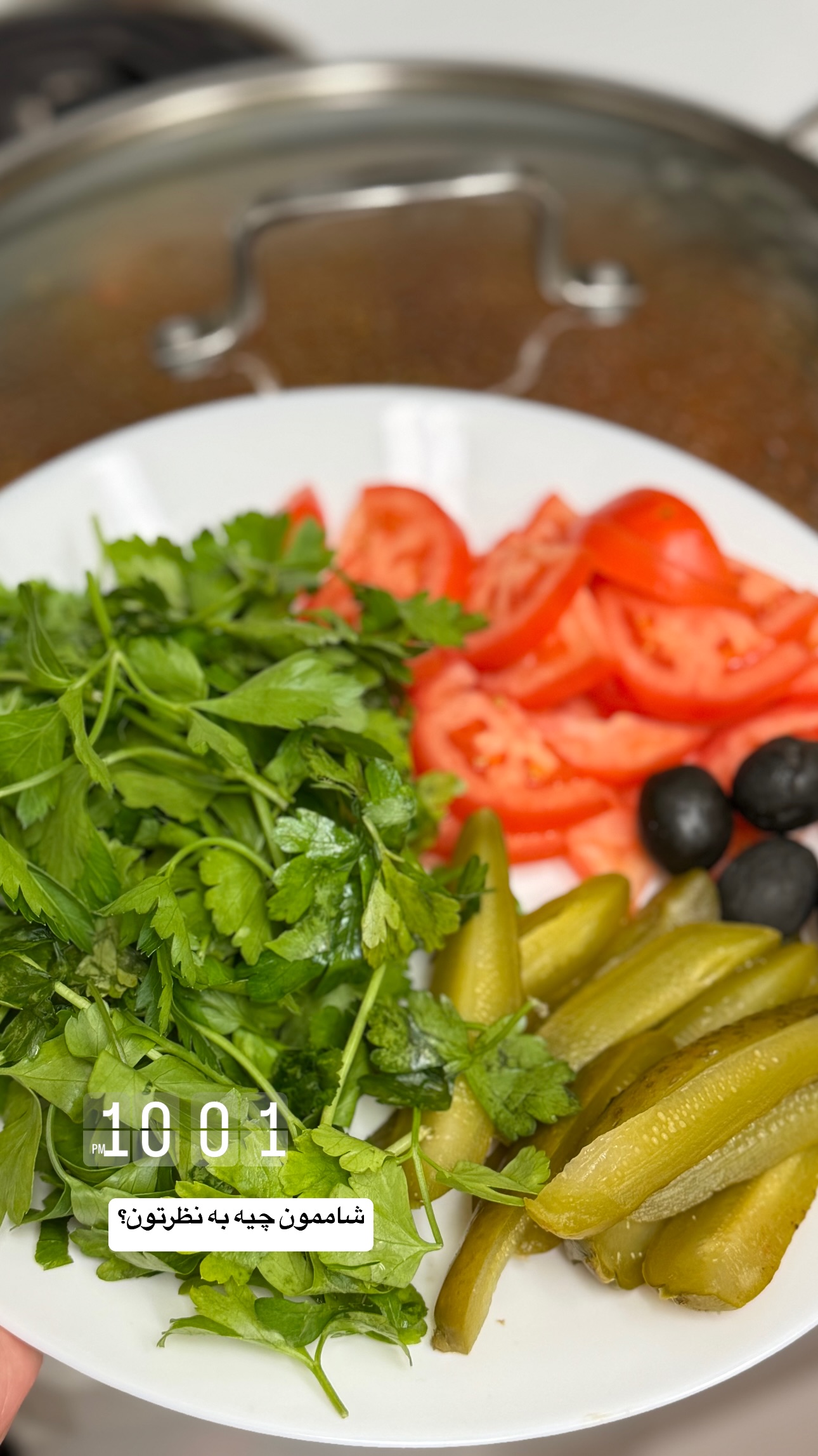  جدید ترین استوری اینستاگرام فرشیده کوچک