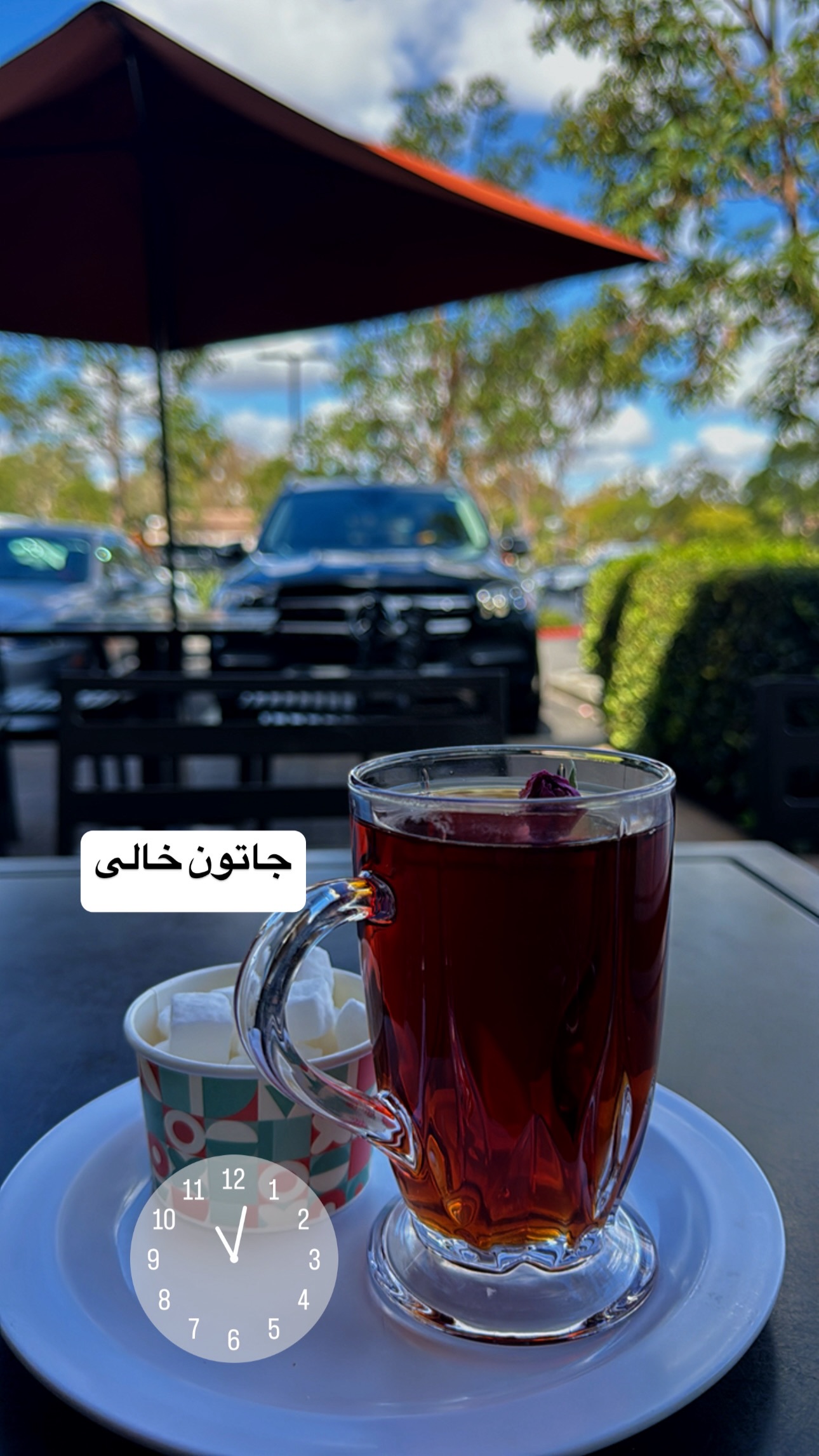  جدید ترین استوری اینستاگرام فرشیده کوچک