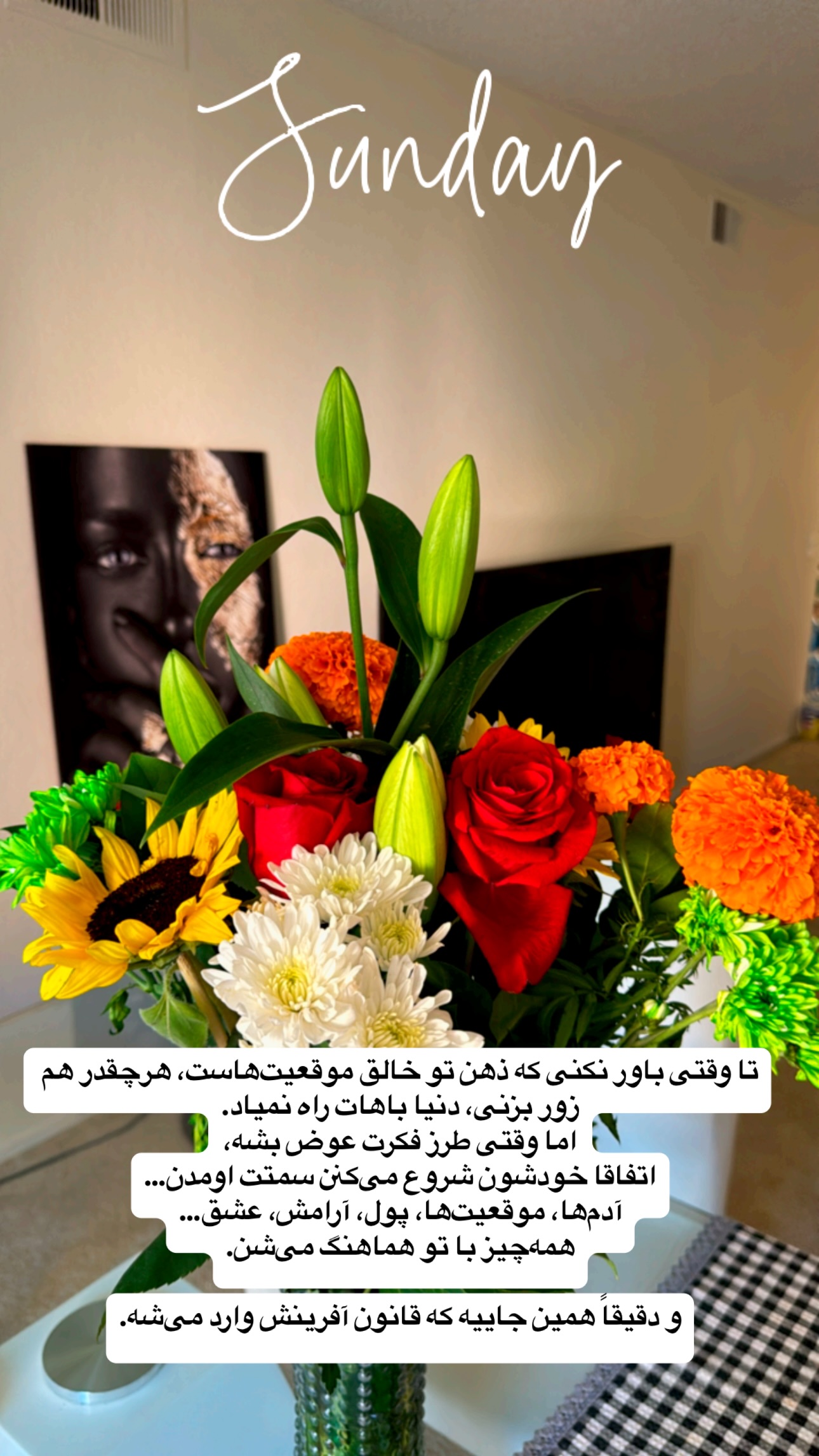  جدید ترین استوری اینستاگرام فرشیده کوچک