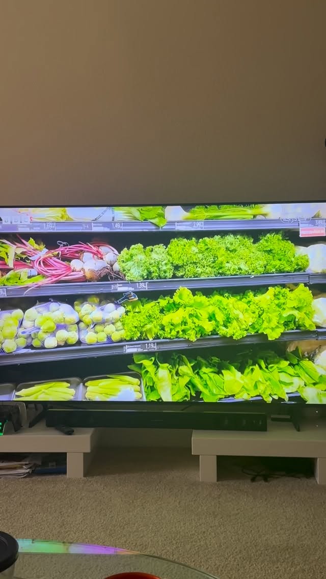  جدید ترین استوری اینستاگرام فرشیده کوچک