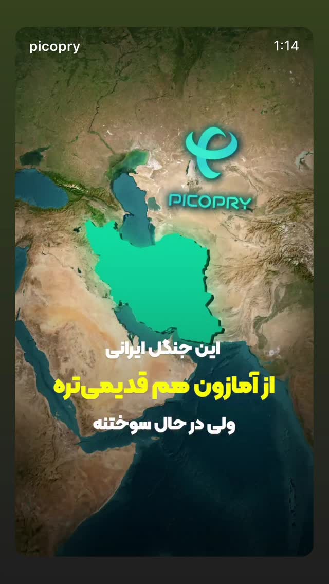  جدید ترین استوری اینستاگرام فرشیده کوچک