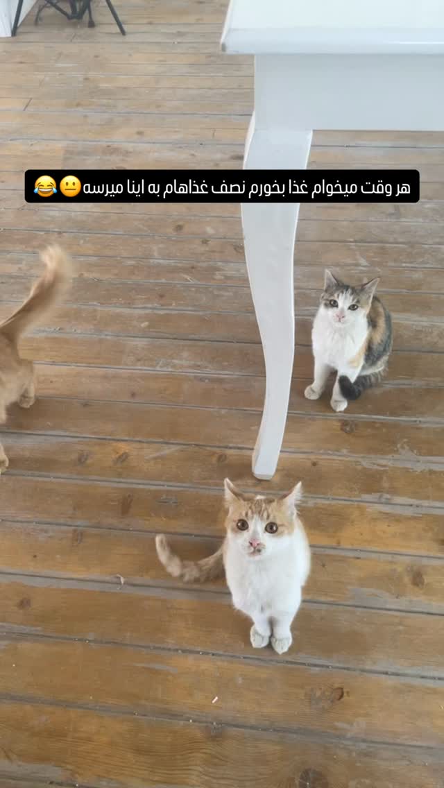  جدید ترین استوری اینستاگرام پارسا کمالی