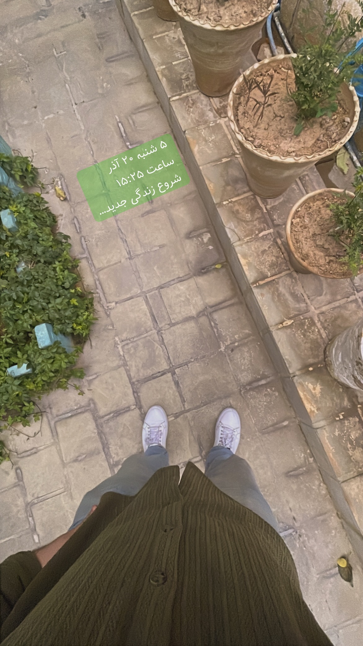  جدید ترین استوری اینستاگرام پارسا کمالی