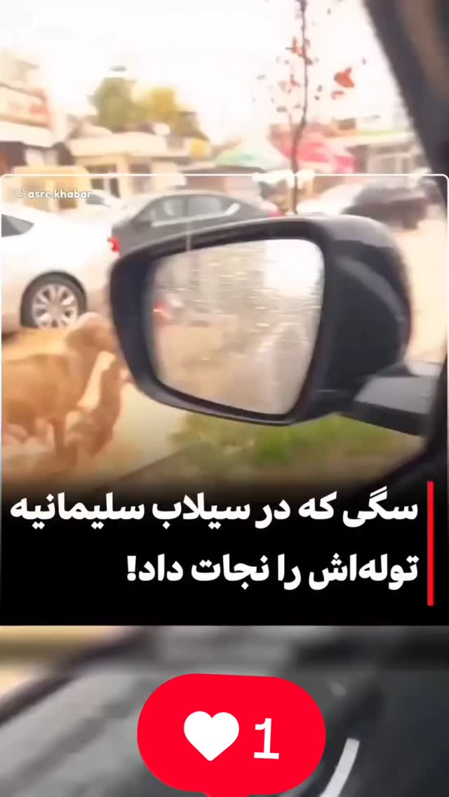  جدید ترین استوری اینستاگرام محمد اصغری