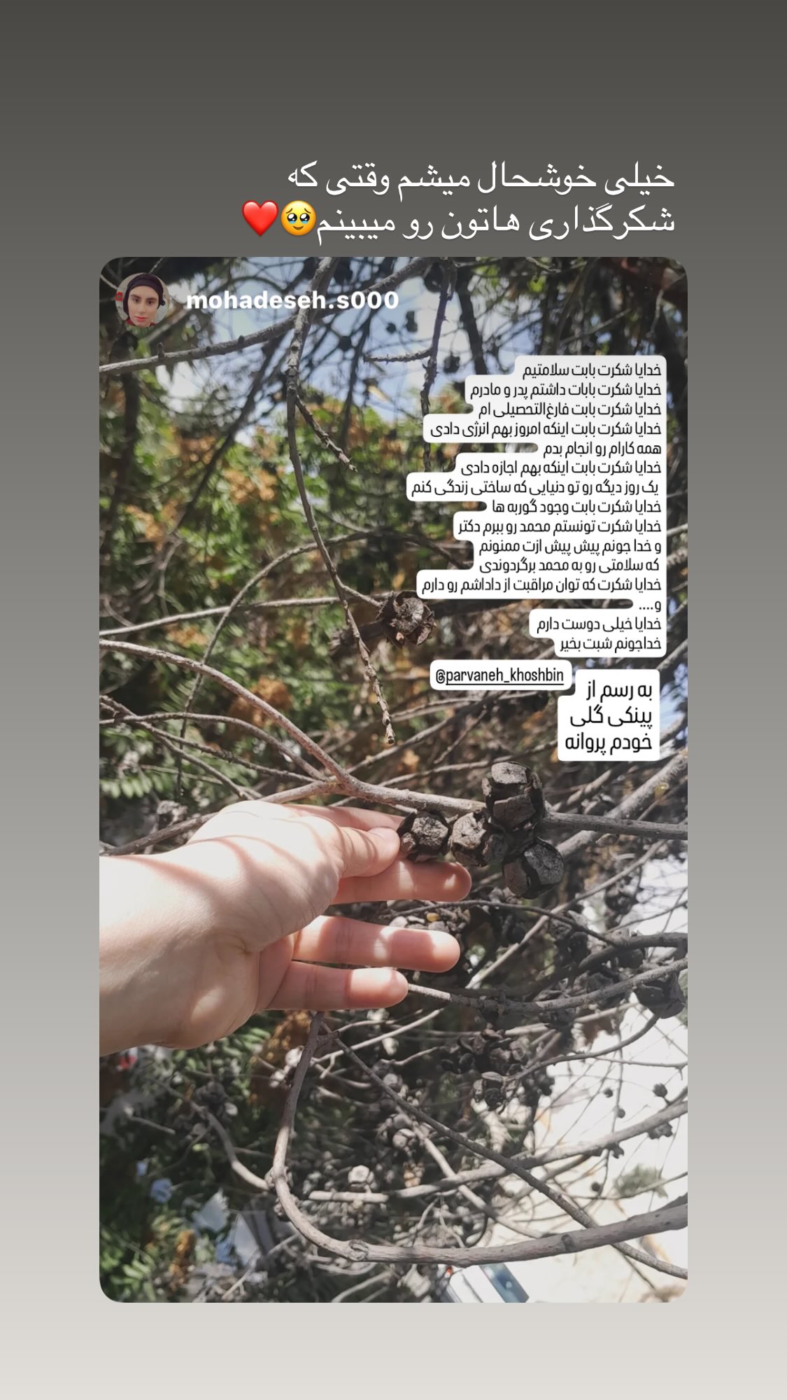  جدید ترین استوری اینستاگرام پروانه خوشبین
