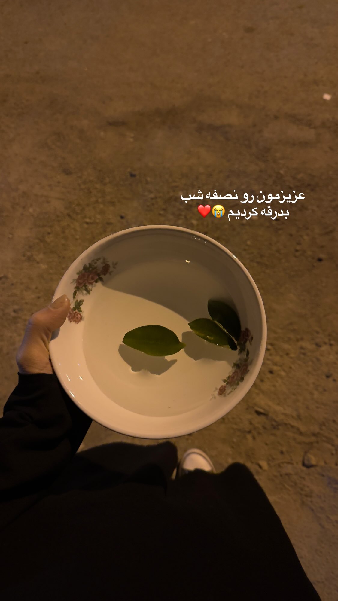  جدید ترین استوری اینستاگرام پروانه خوشبین