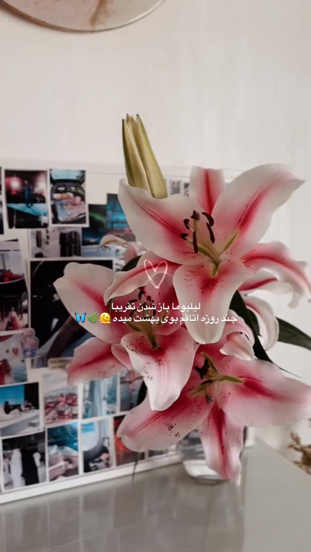  جدید ترین استوری اینستاگرام پروانه خوشبین