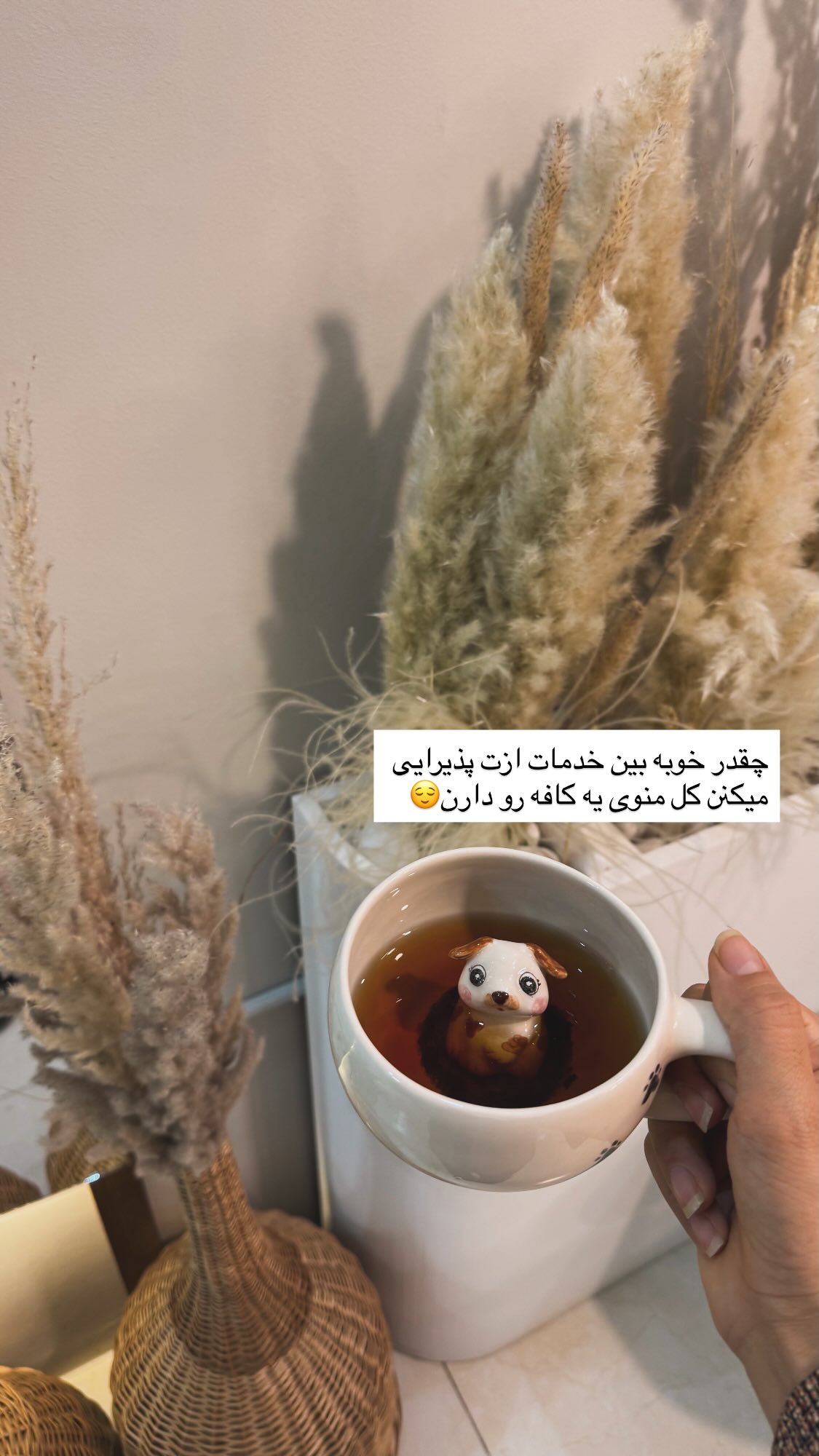 جدید ترین استوری اینستاگرام پروانه خوشبین