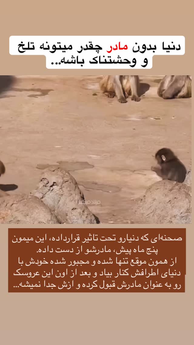  جدید ترین استوری اینستاگرام گروه پرویز