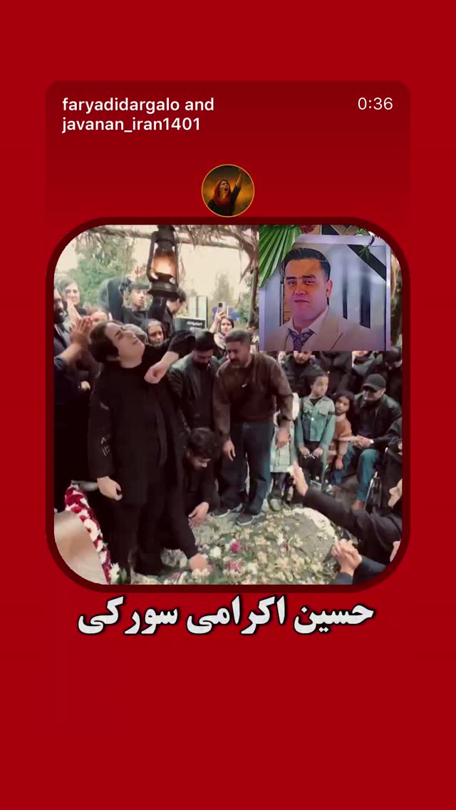  جدید ترین استوری اینستاگرام پرواز همای
