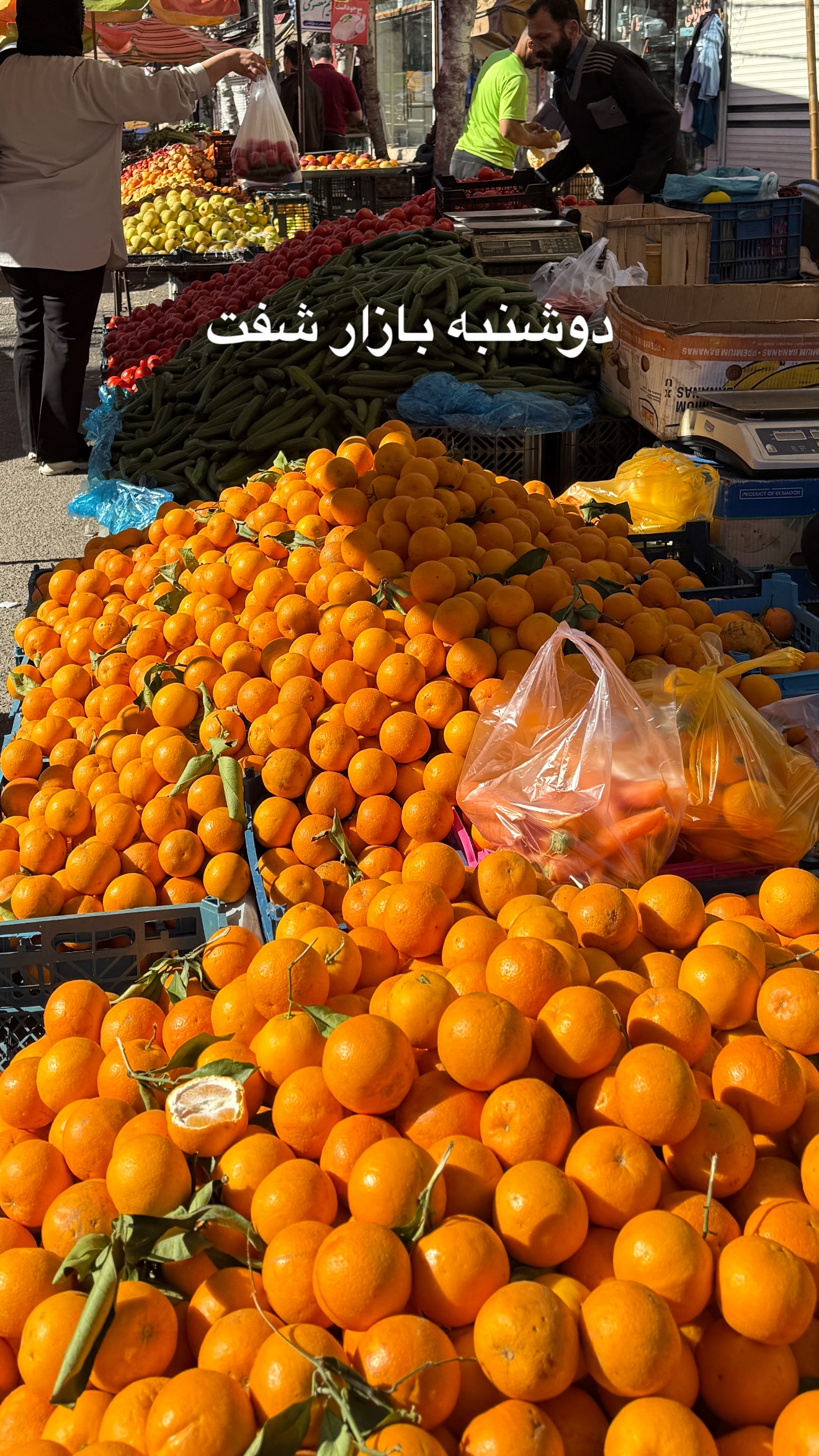  جدید ترین استوری اینستاگرام پرواز همای