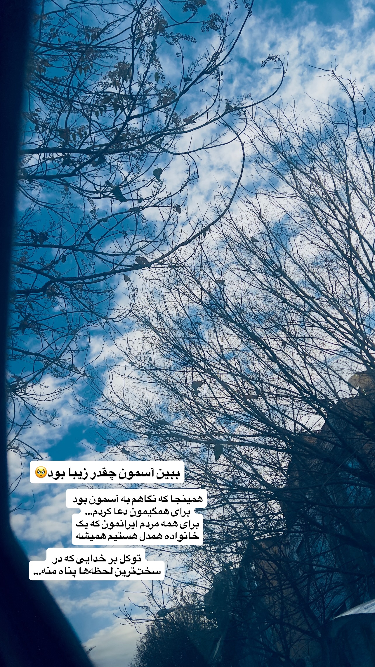  جدید ترین استوری اینستاگرام پروین بااختیار
