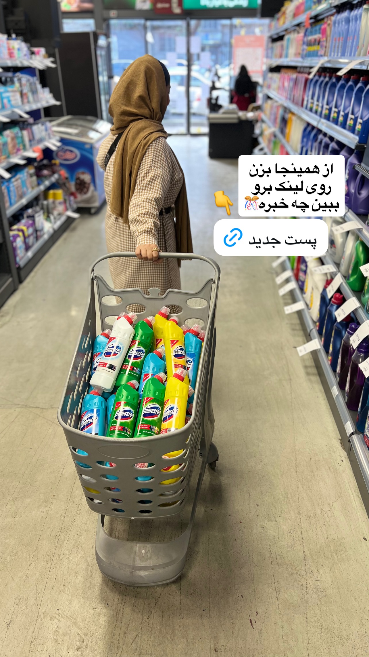 جدید ترین استوری اینستاگرام پروین بااختیار