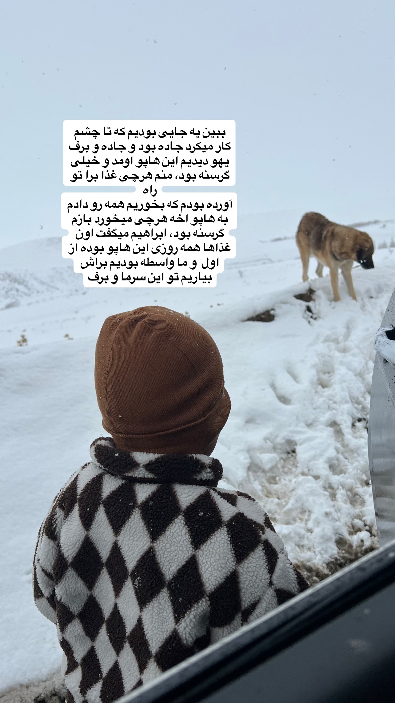  جدید ترین استوری اینستاگرام پروین بااختیار