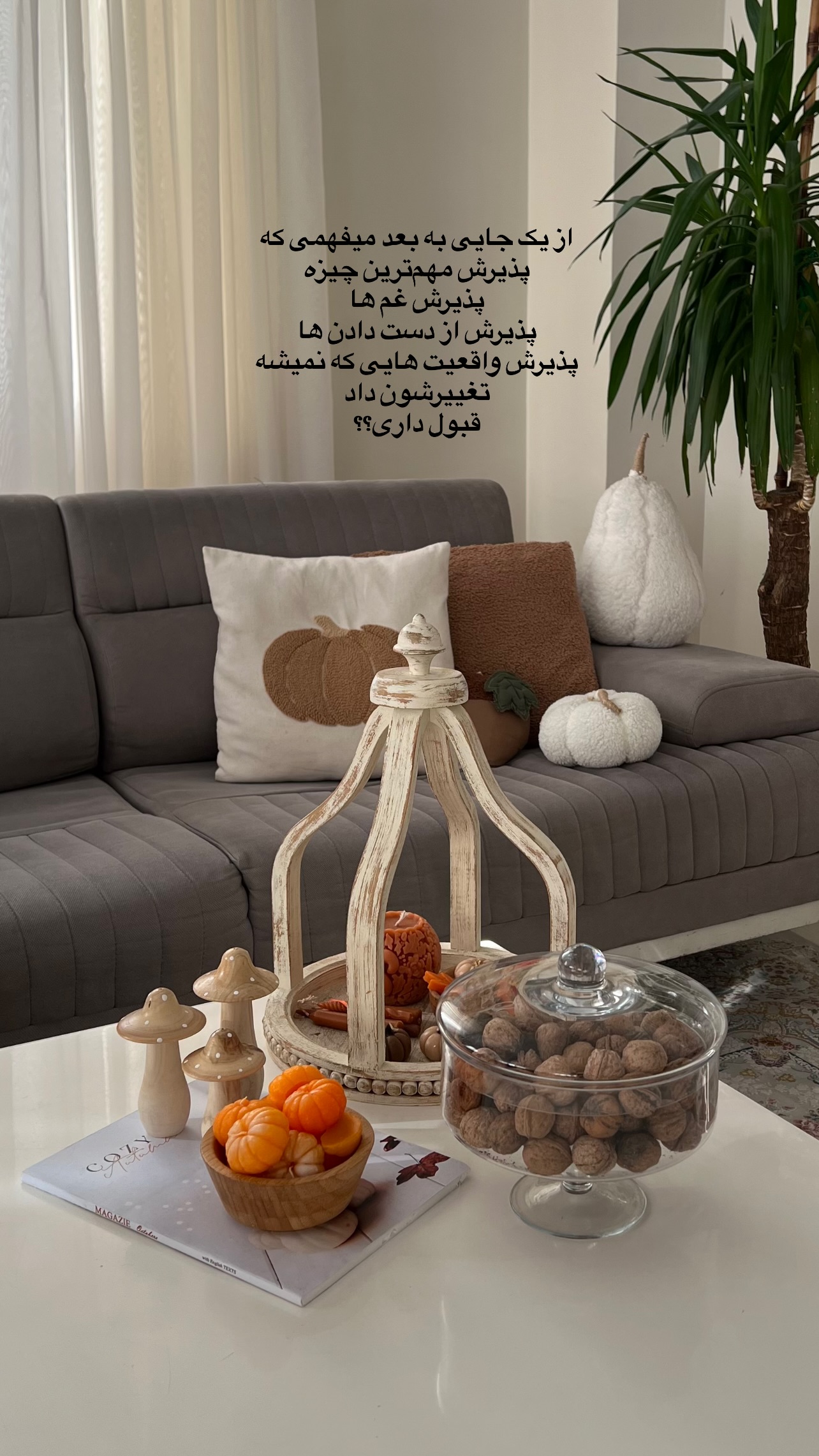  جدید ترین استوری اینستاگرام پروین بااختیار