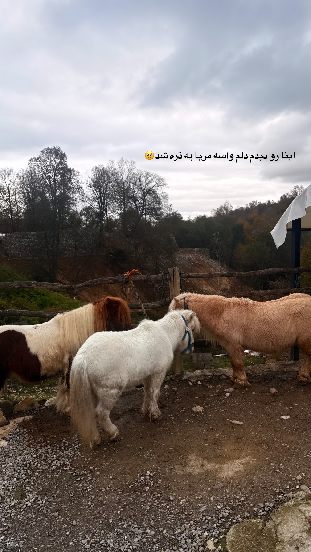  جدید ترین استوری اینستاگرام پریا پرتوی