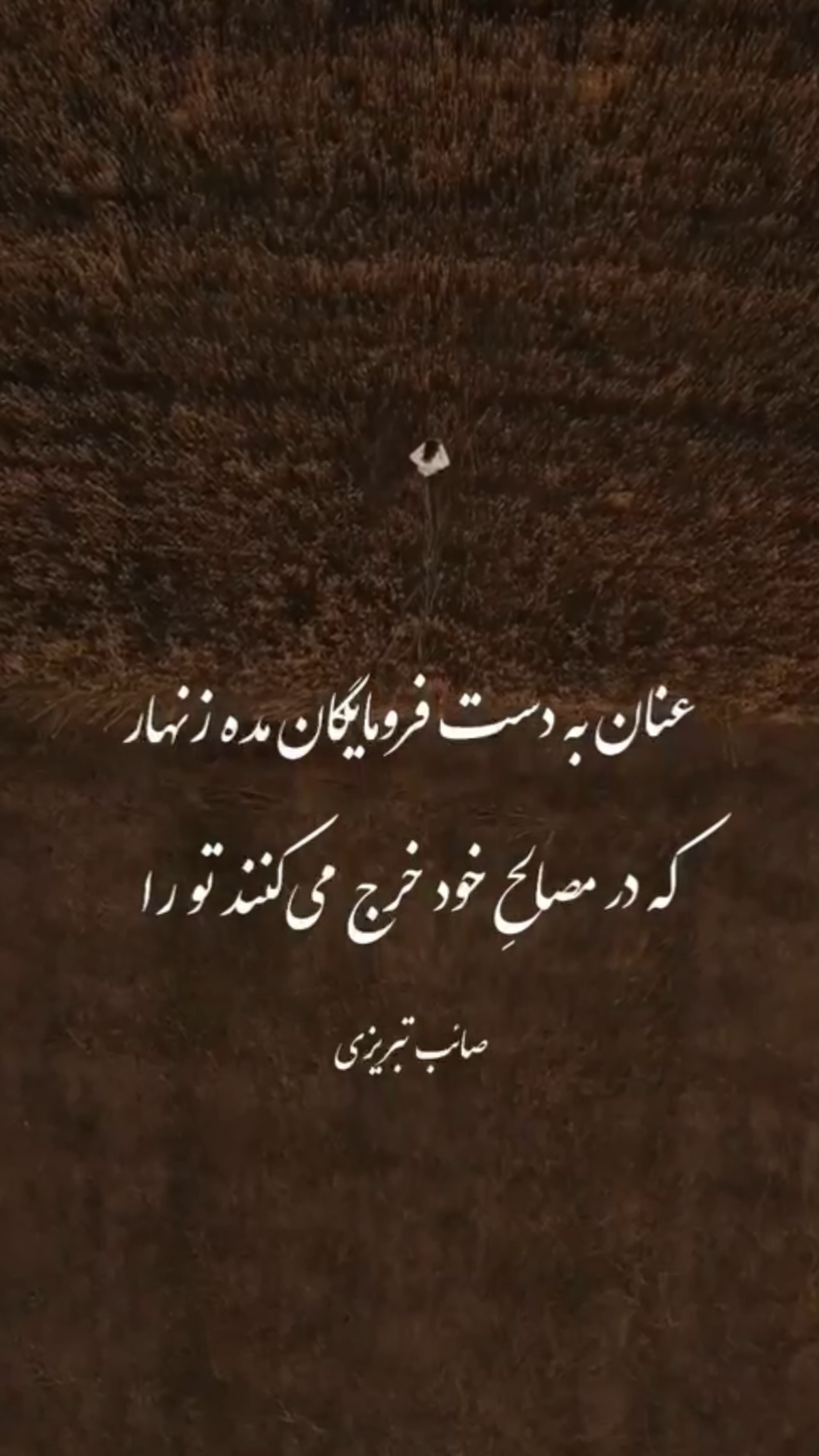  جدید ترین استوری اینستاگرام پیام احمدی نیا