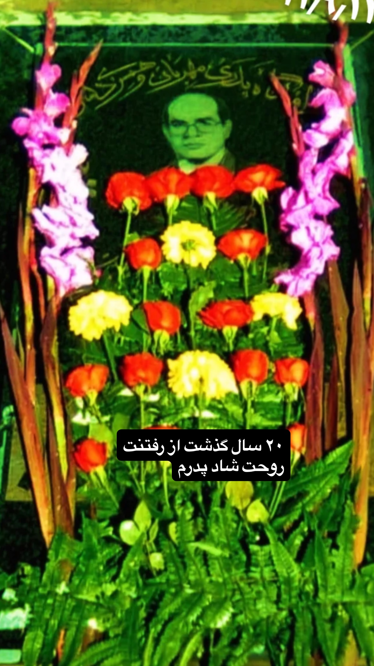  جدید ترین استوری اینستاگرام پیام احمدی نیا