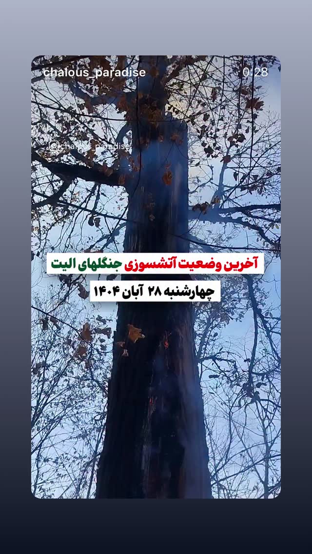  جدید ترین استوری اینستاگرام پیمان معادی