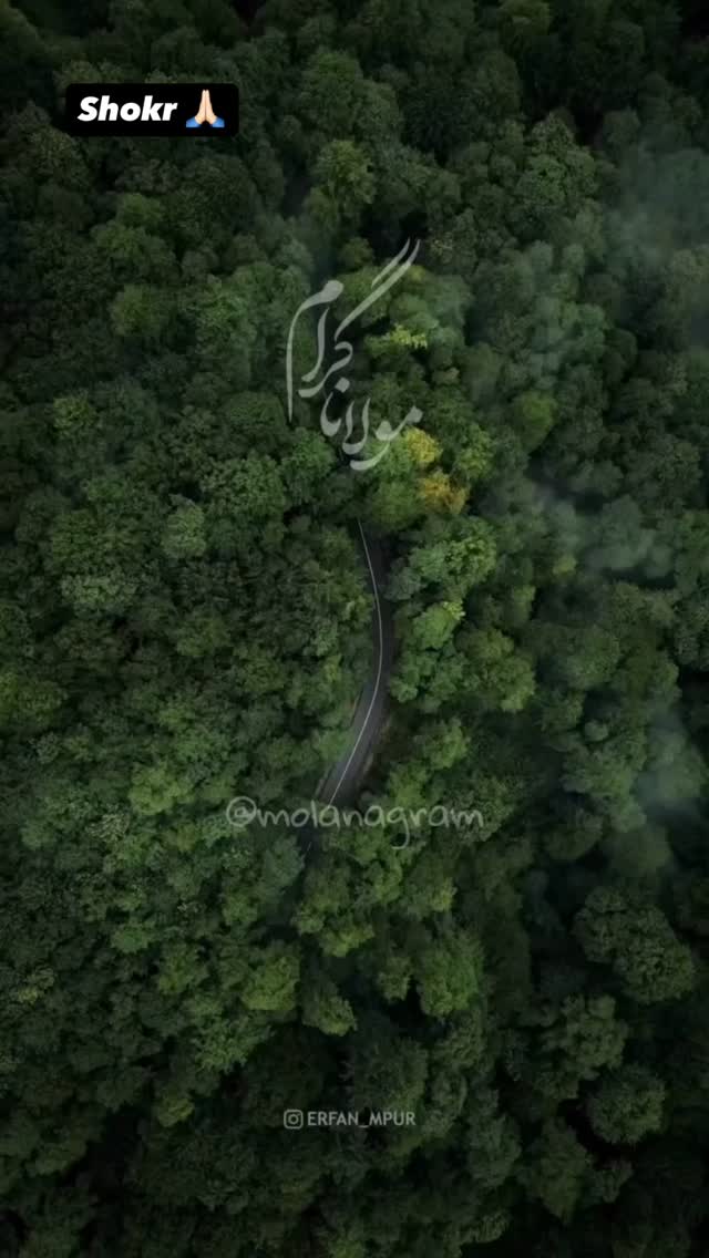  جدید ترین استوری اینستاگرام پیمان بیابانی