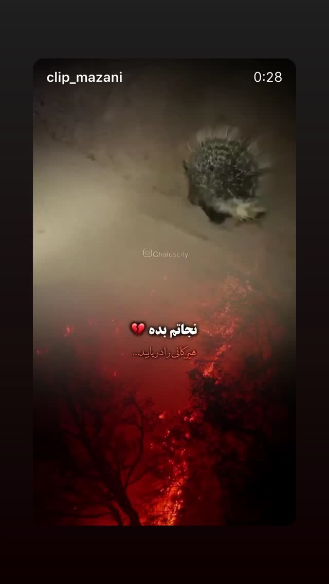  جدید ترین استوری اینستاگرام پیمان بیابانی