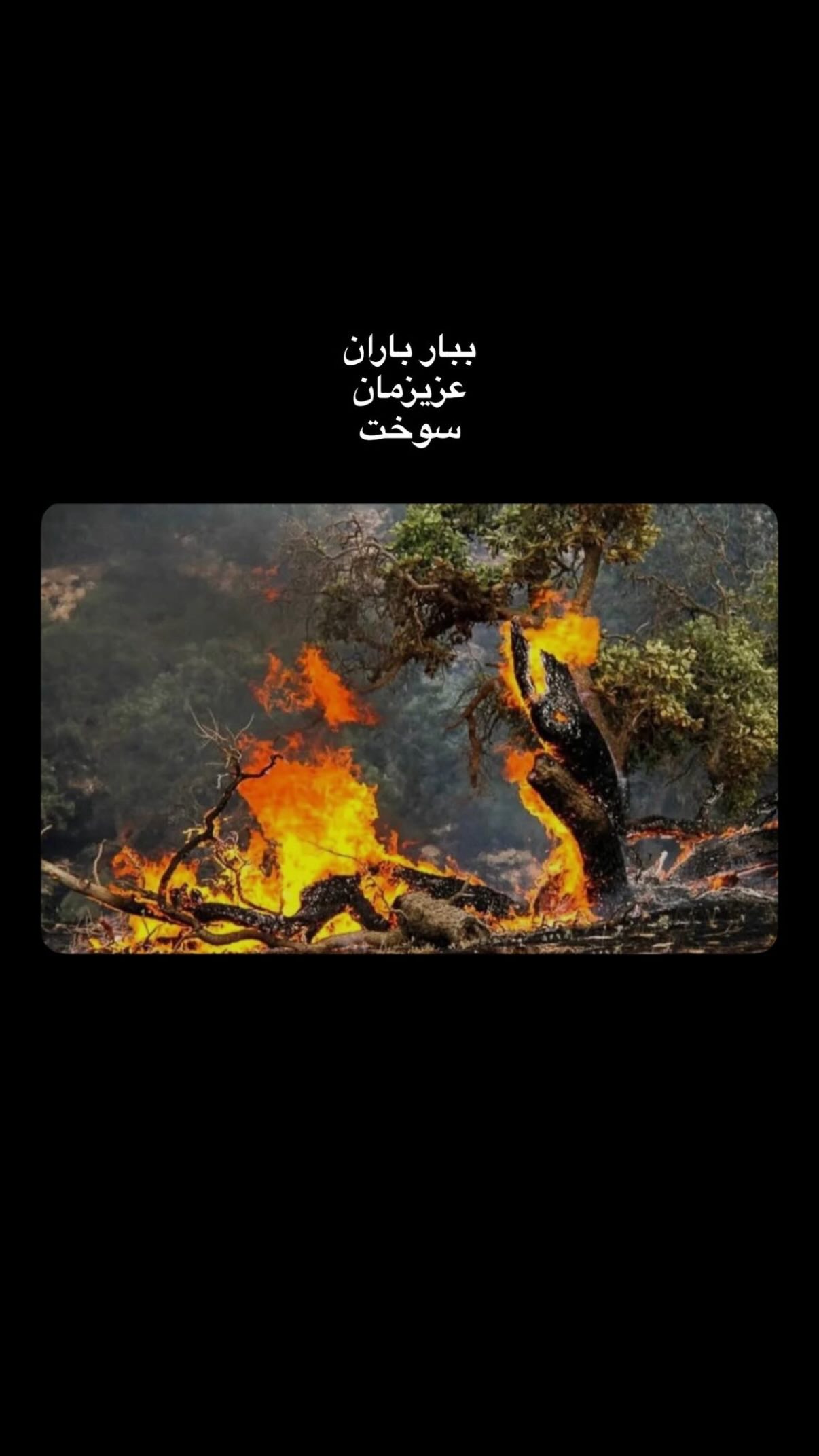  جدید ترین استوری اینستاگرام پژمان بازغی