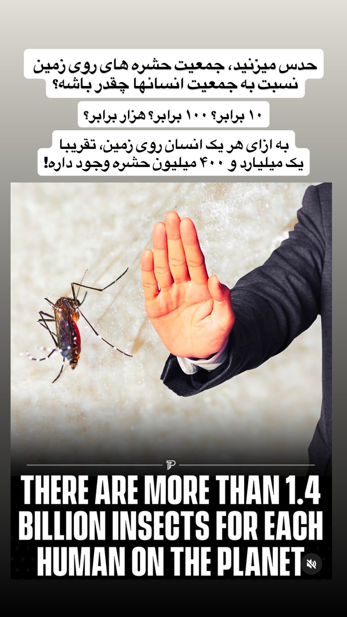  جدید ترین استوری اینستاگرام توحید نجفی