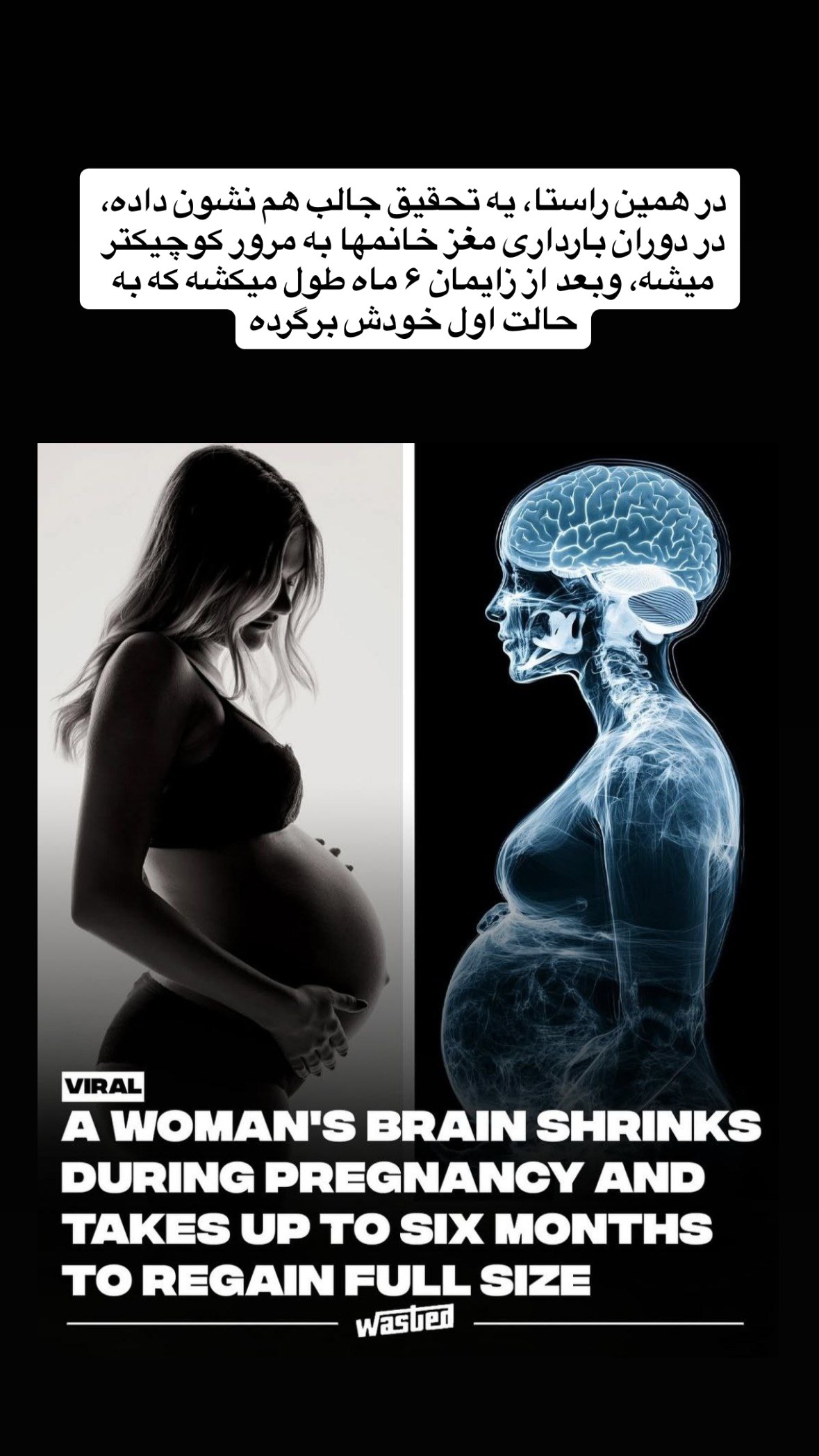  جدید ترین استوری اینستاگرام توحید نجفی