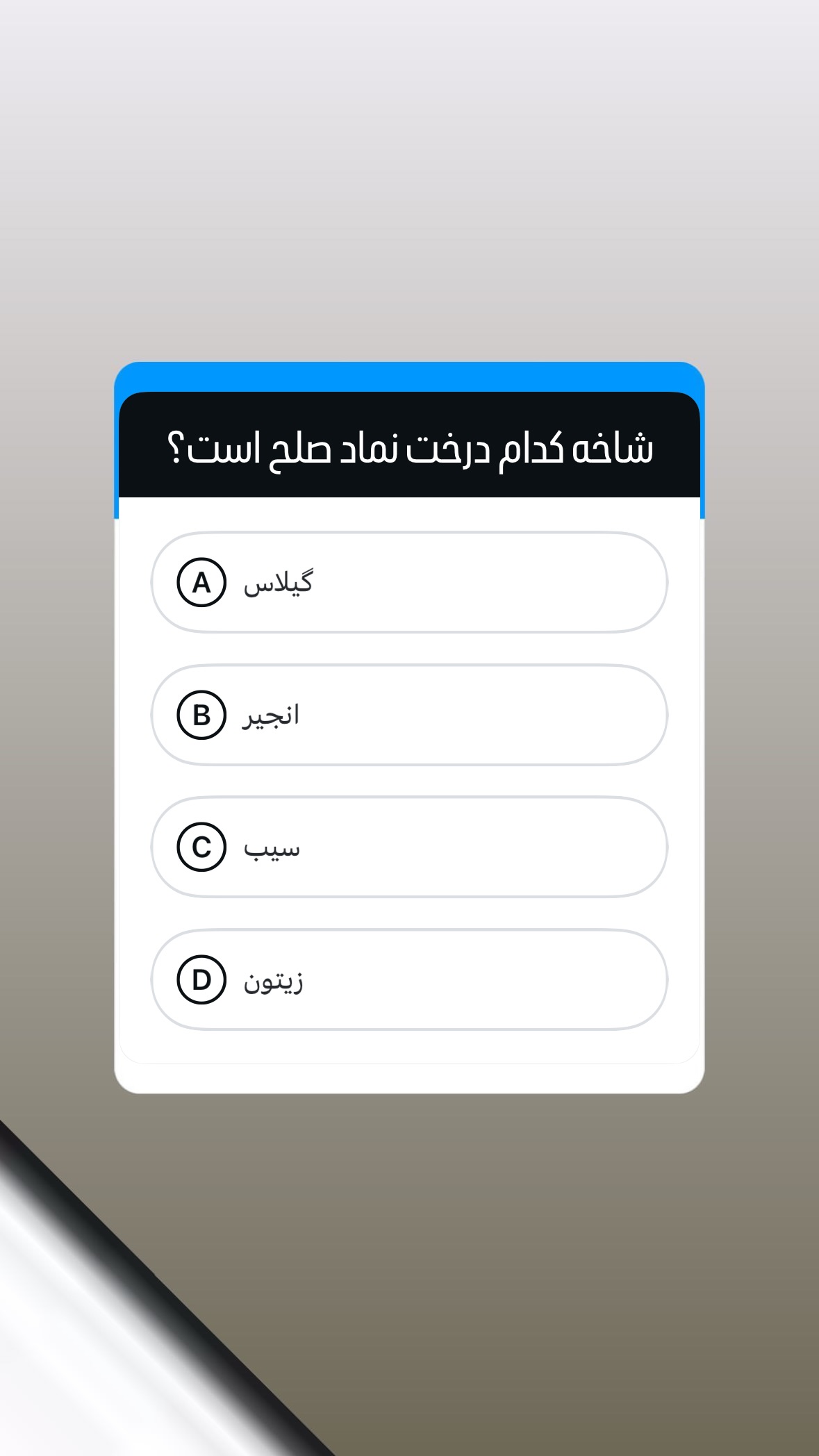  جدید ترین استوری اینستاگرام توحید نجفی