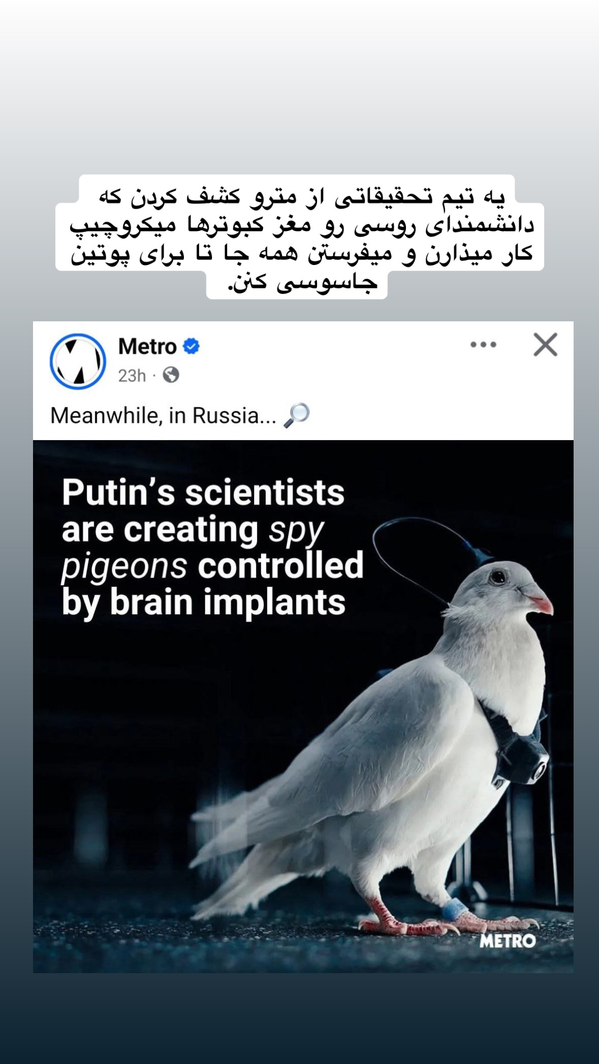  جدید ترین استوری اینستاگرام توحید نجفی