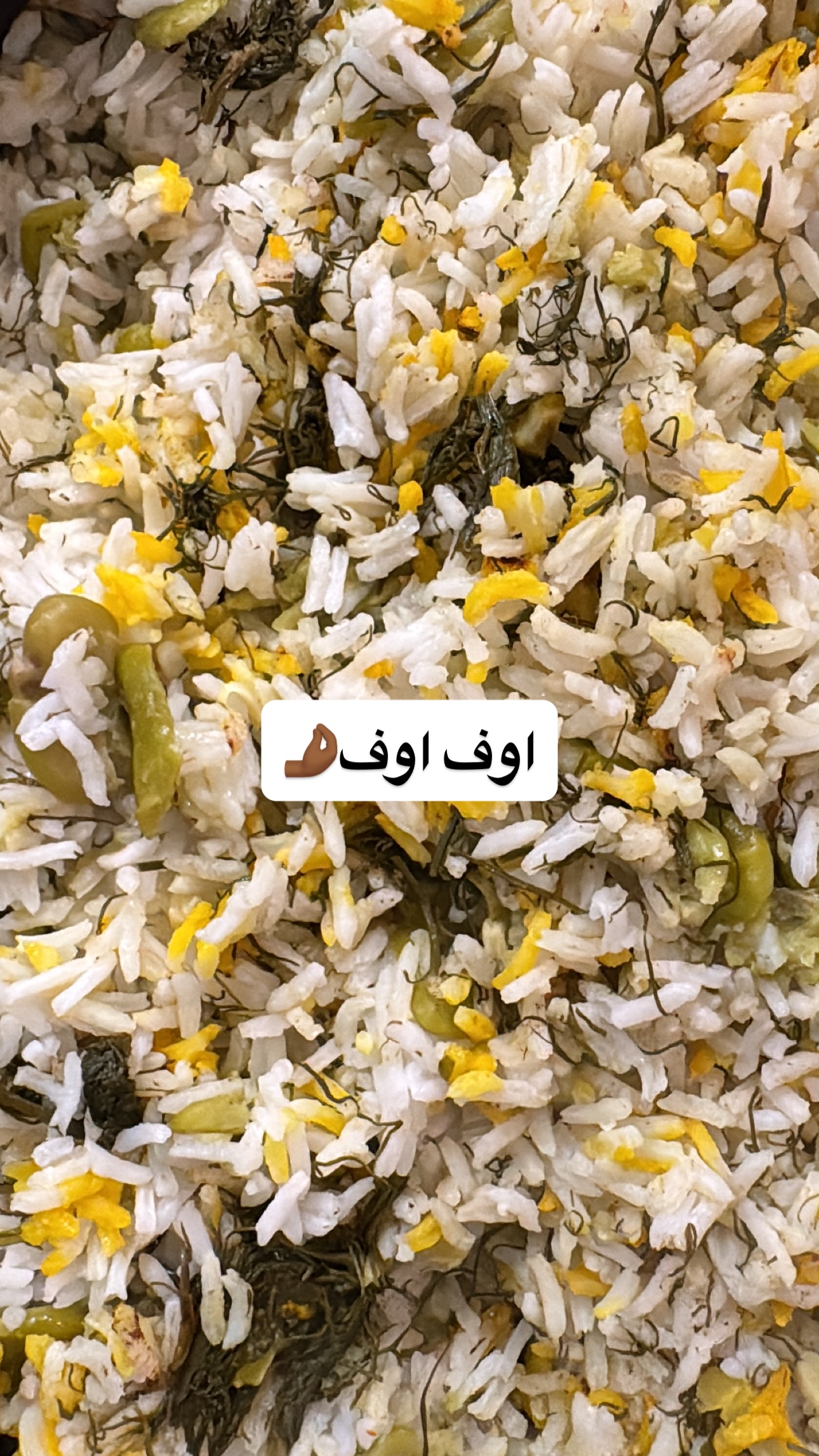  جدید ترین استوری اینستاگرام پیمان رجبی