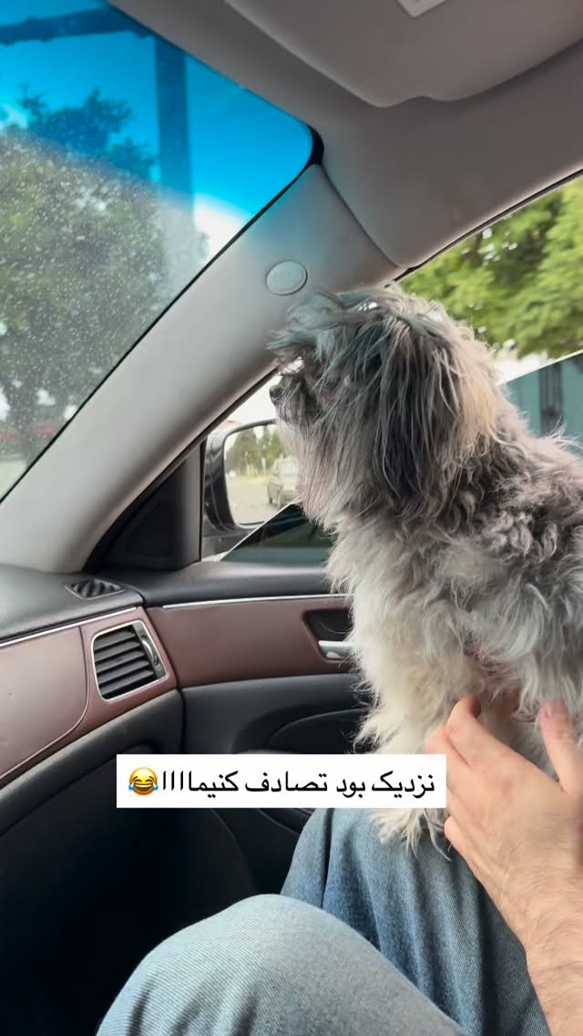  جدید ترین استوری اینستاگرام پیمان زکی پور