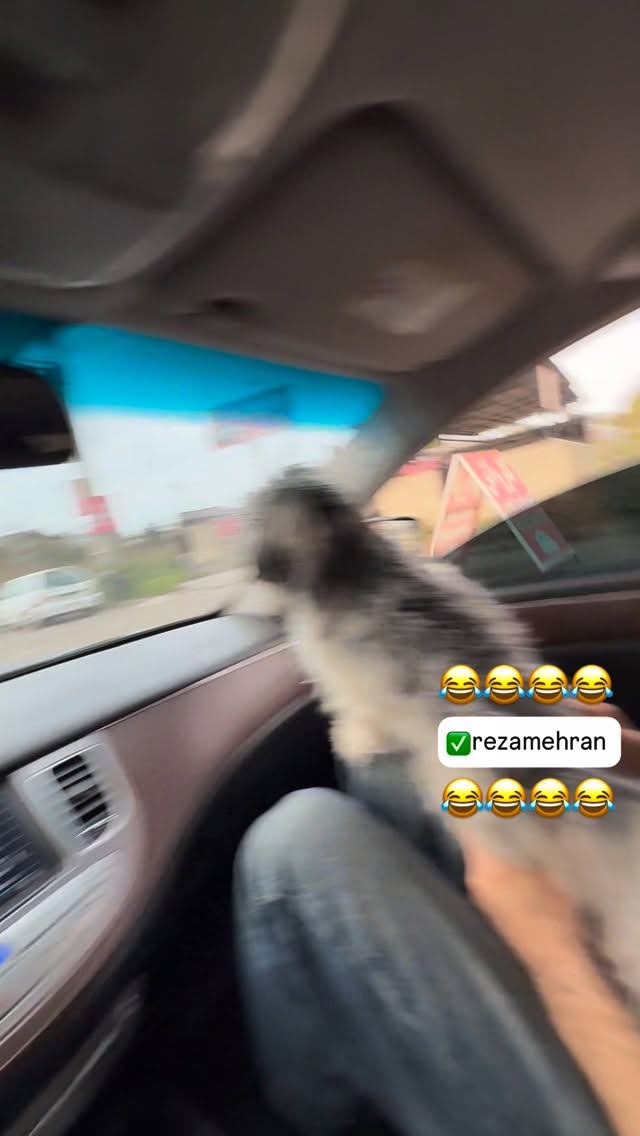  جدید ترین استوری اینستاگرام پیمان زکی پور
