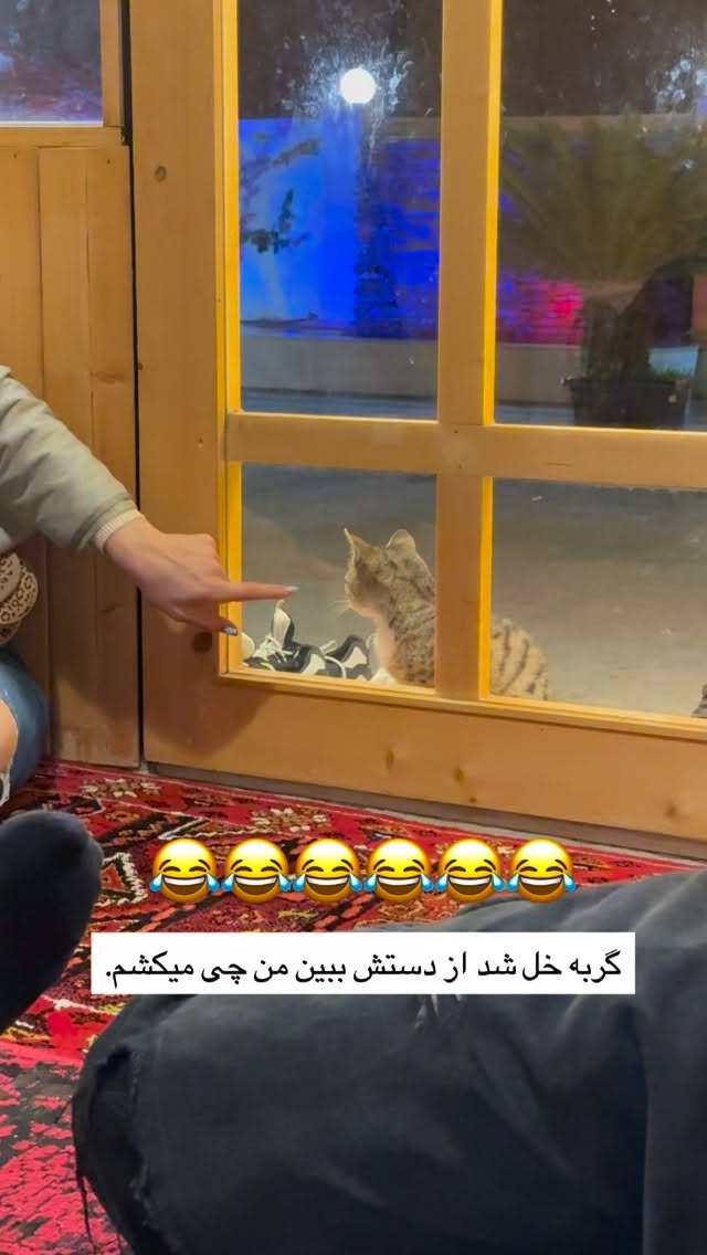  جدید ترین استوری اینستاگرام پیمان زکی پور