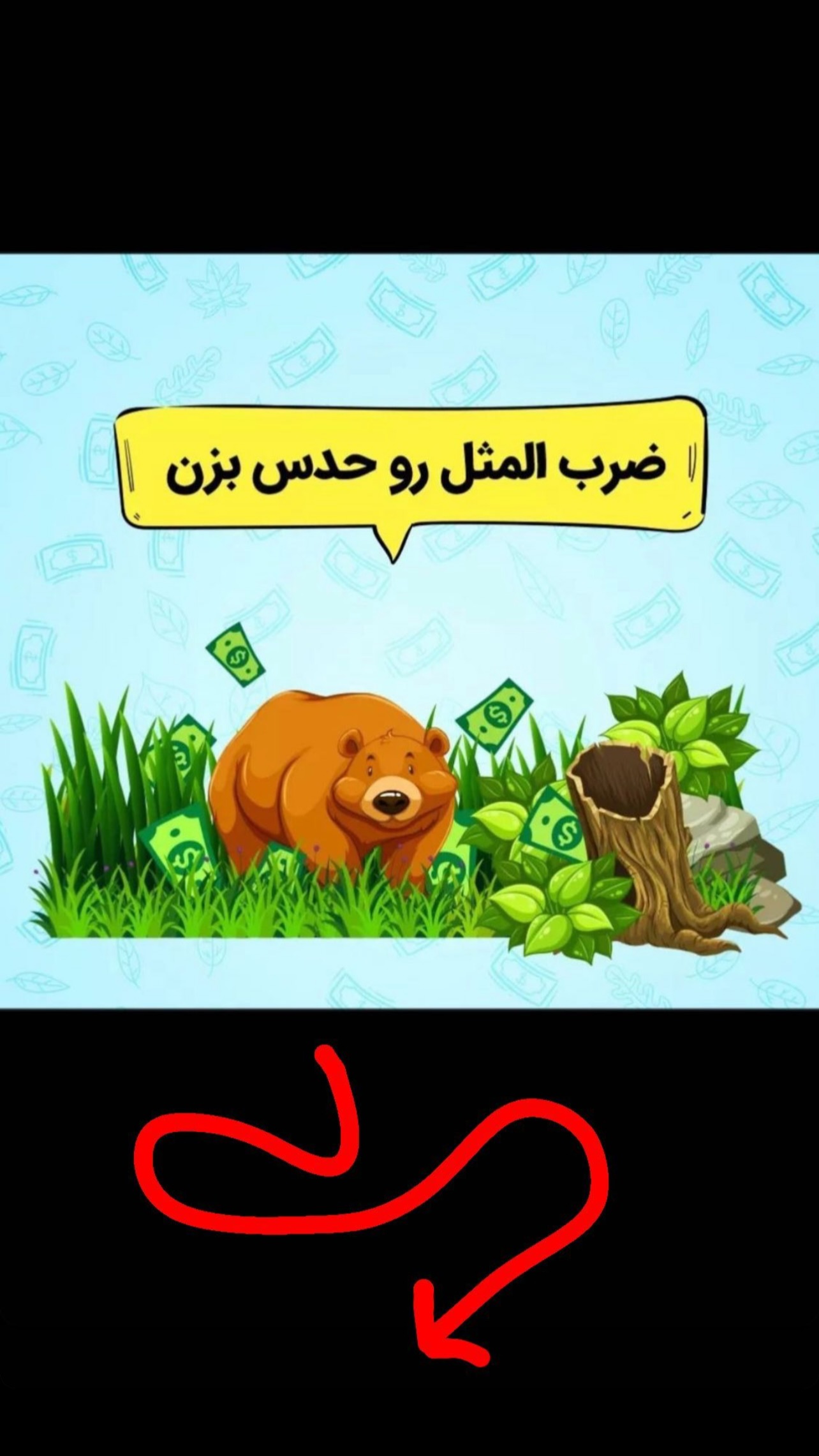  جدید ترین استوری اینستاگرام پیمان زکی پور