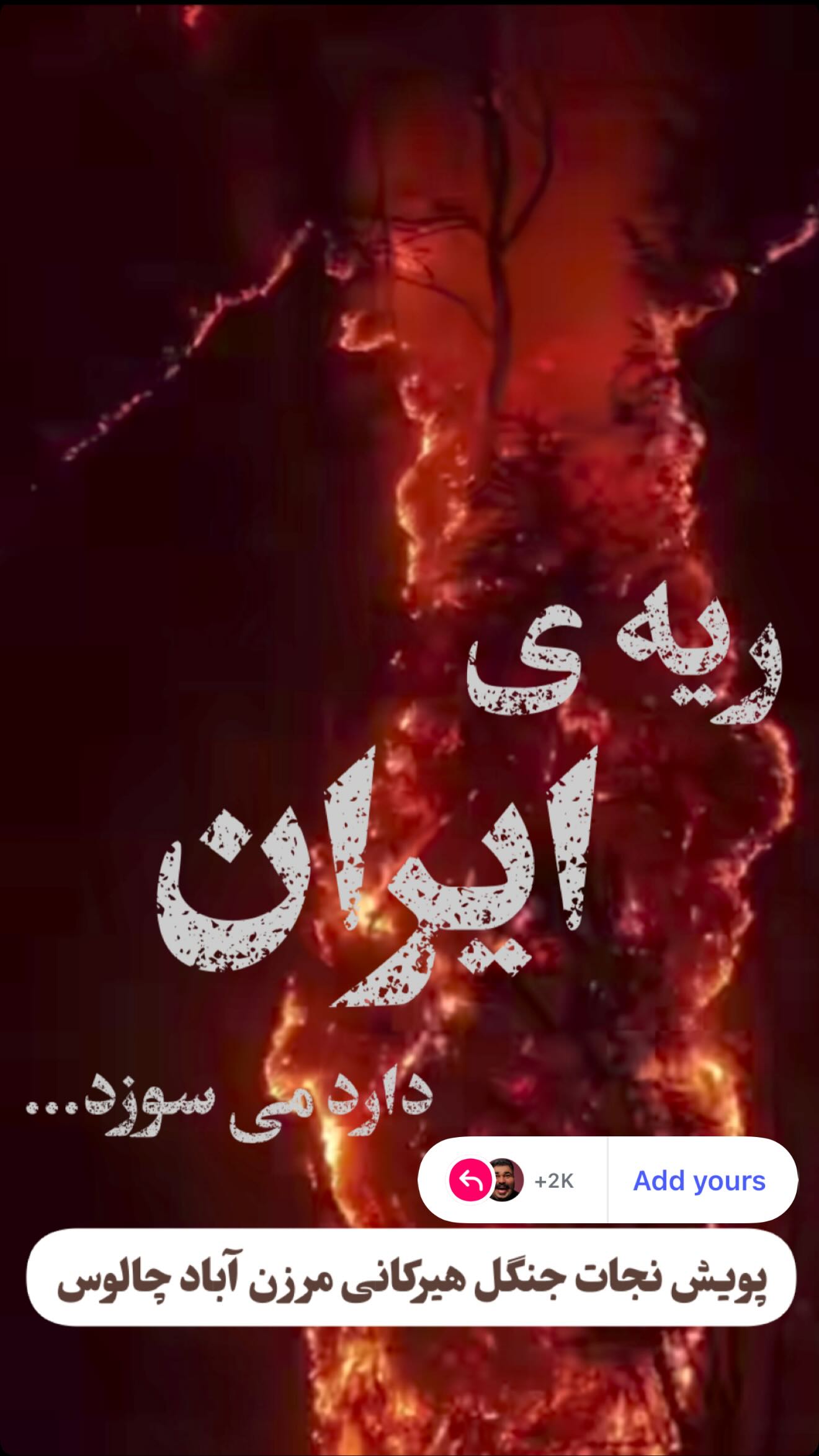  جدید ترین استوری اینستاگرام پیمان زکی پور