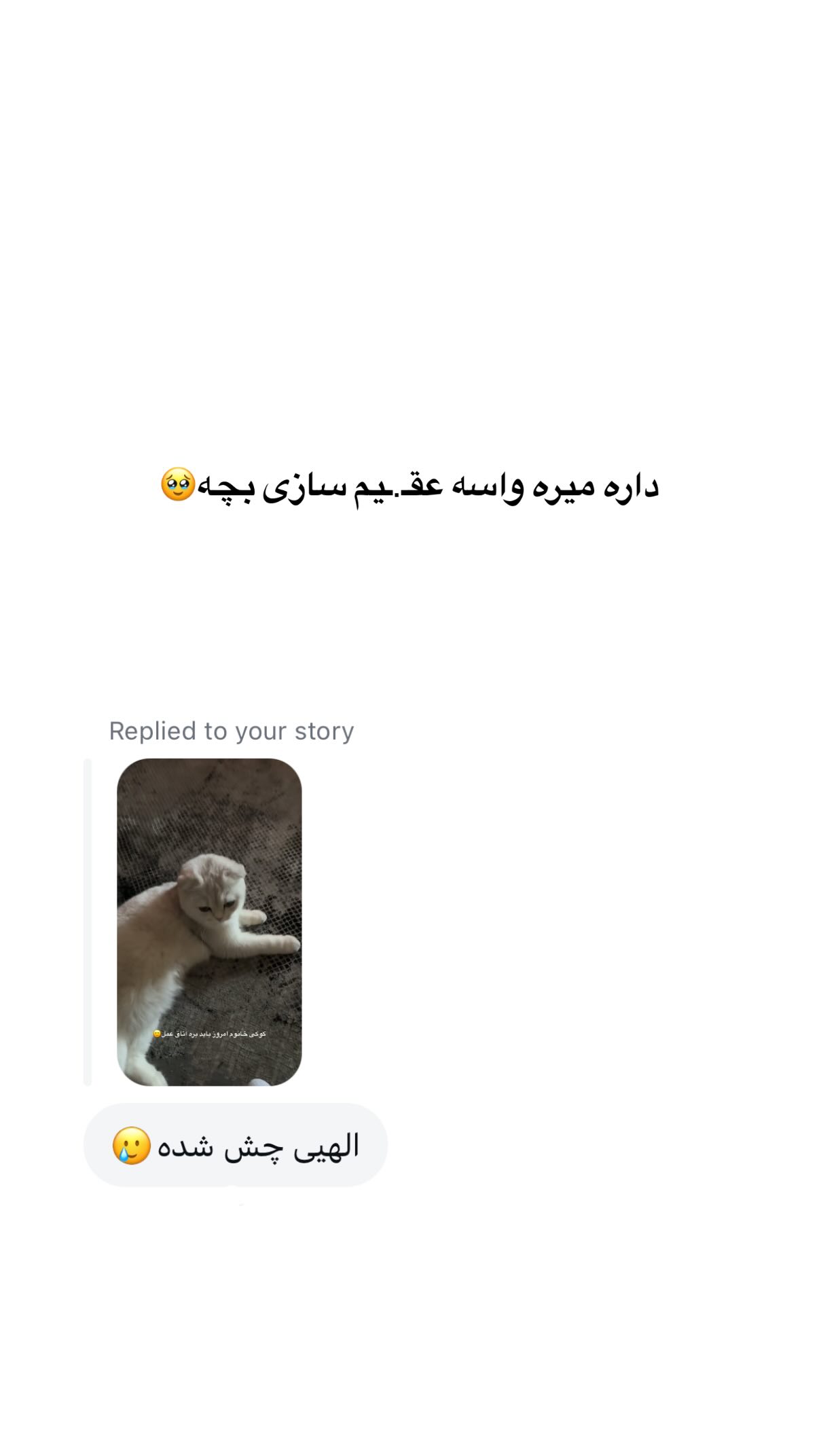  جدید ترین استوری اینستاگرام پیمان باقری