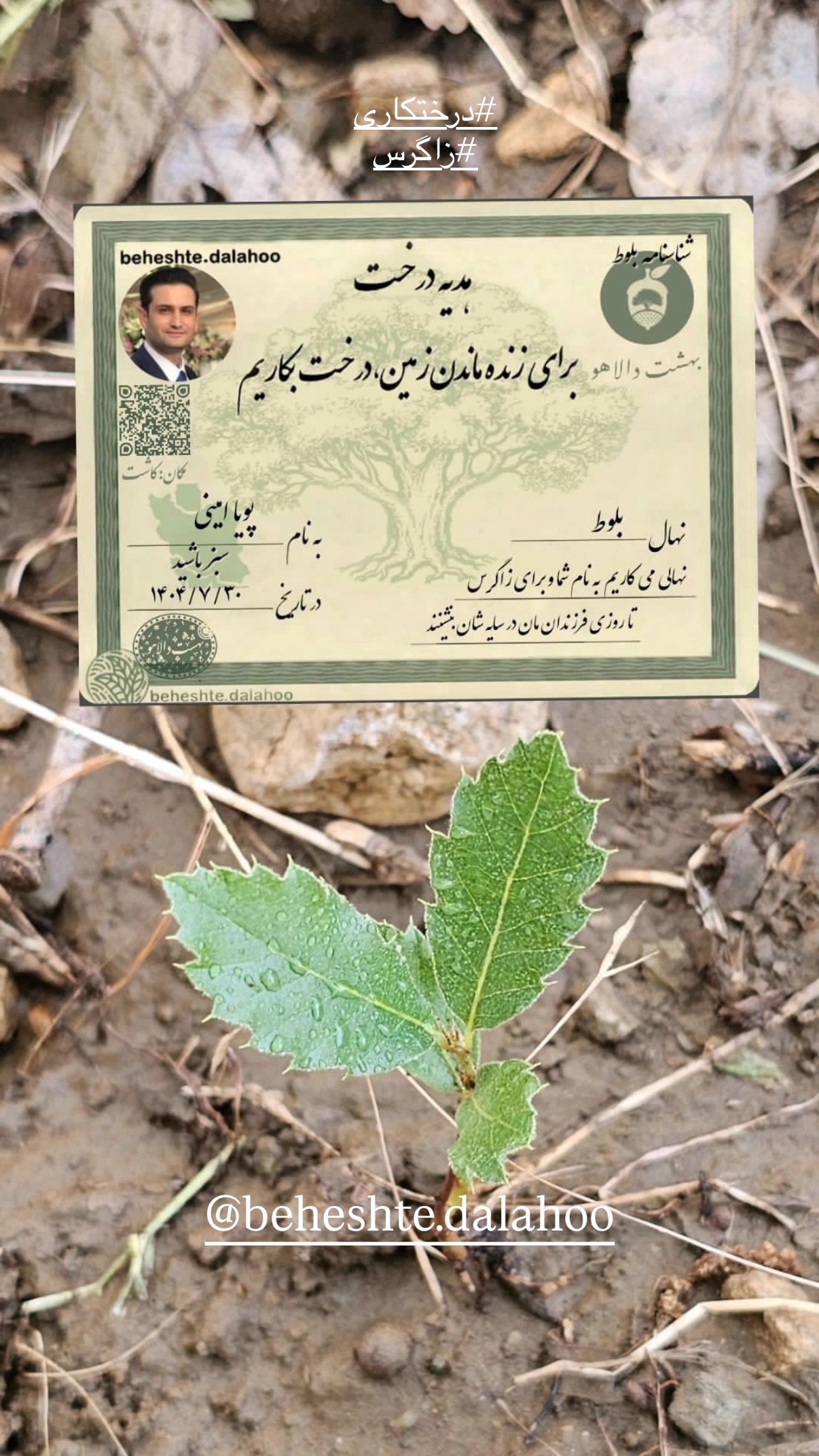  جدید ترین استوری اینستاگرام پویا امینی