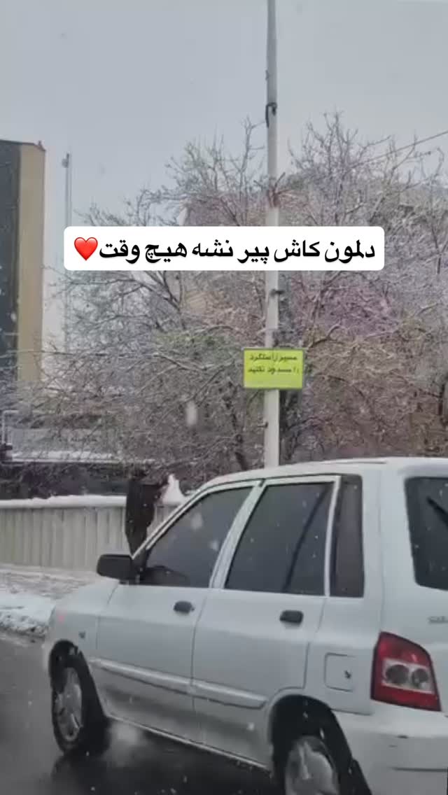  جدید ترین استوری اینستاگرام آقا محمد جواد