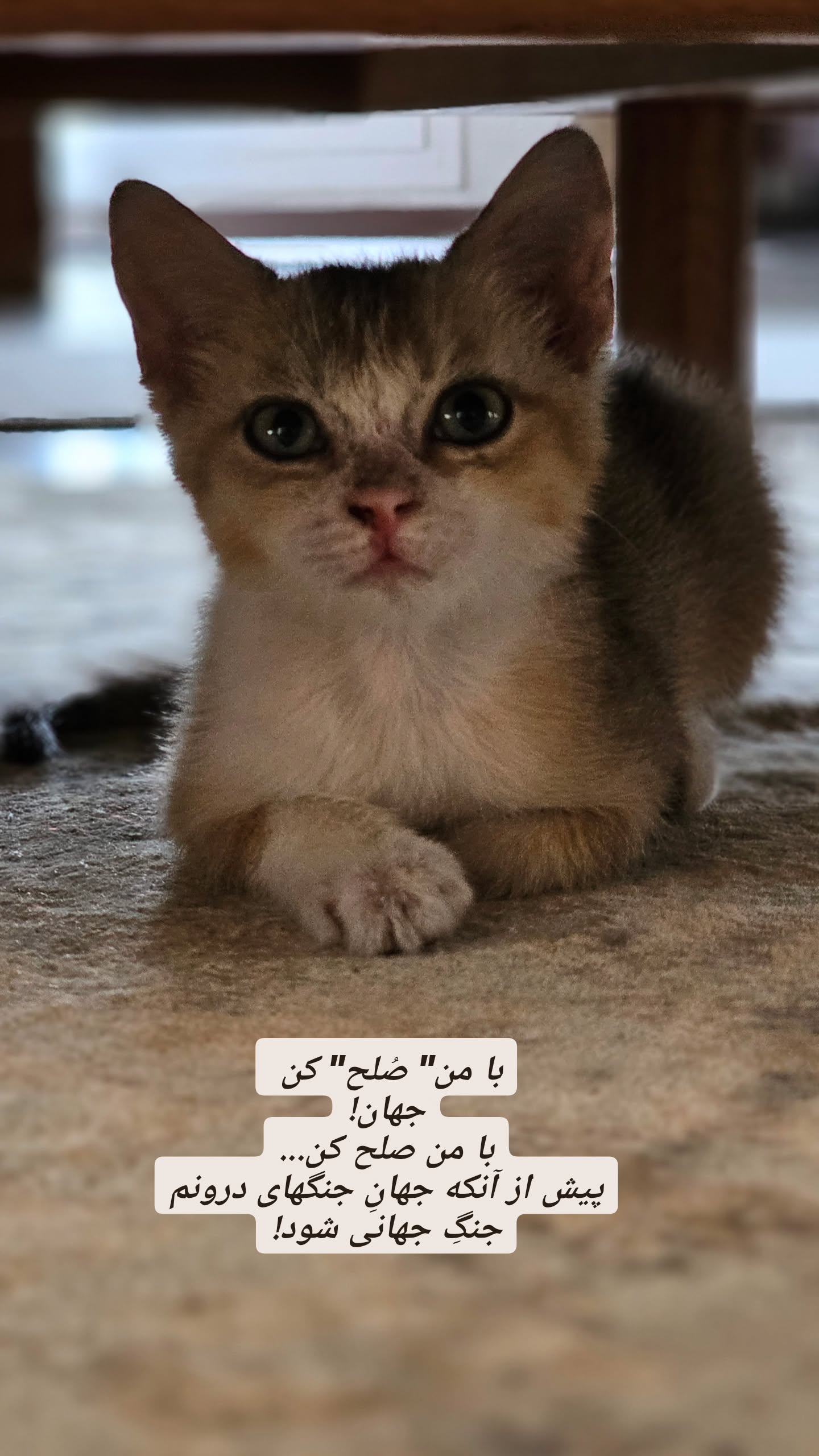  جدید ترین استوری اینستاگرام پوریا رحیمی سام