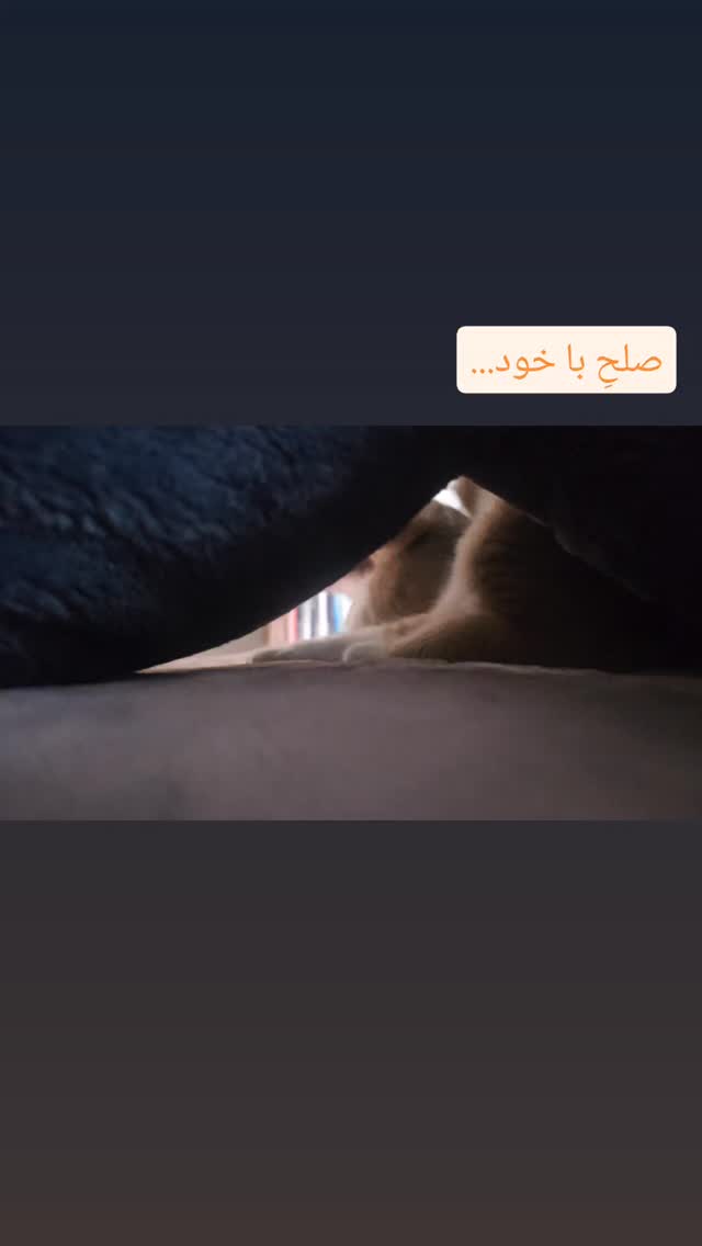  جدید ترین استوری اینستاگرام پوریا رحیمی سام