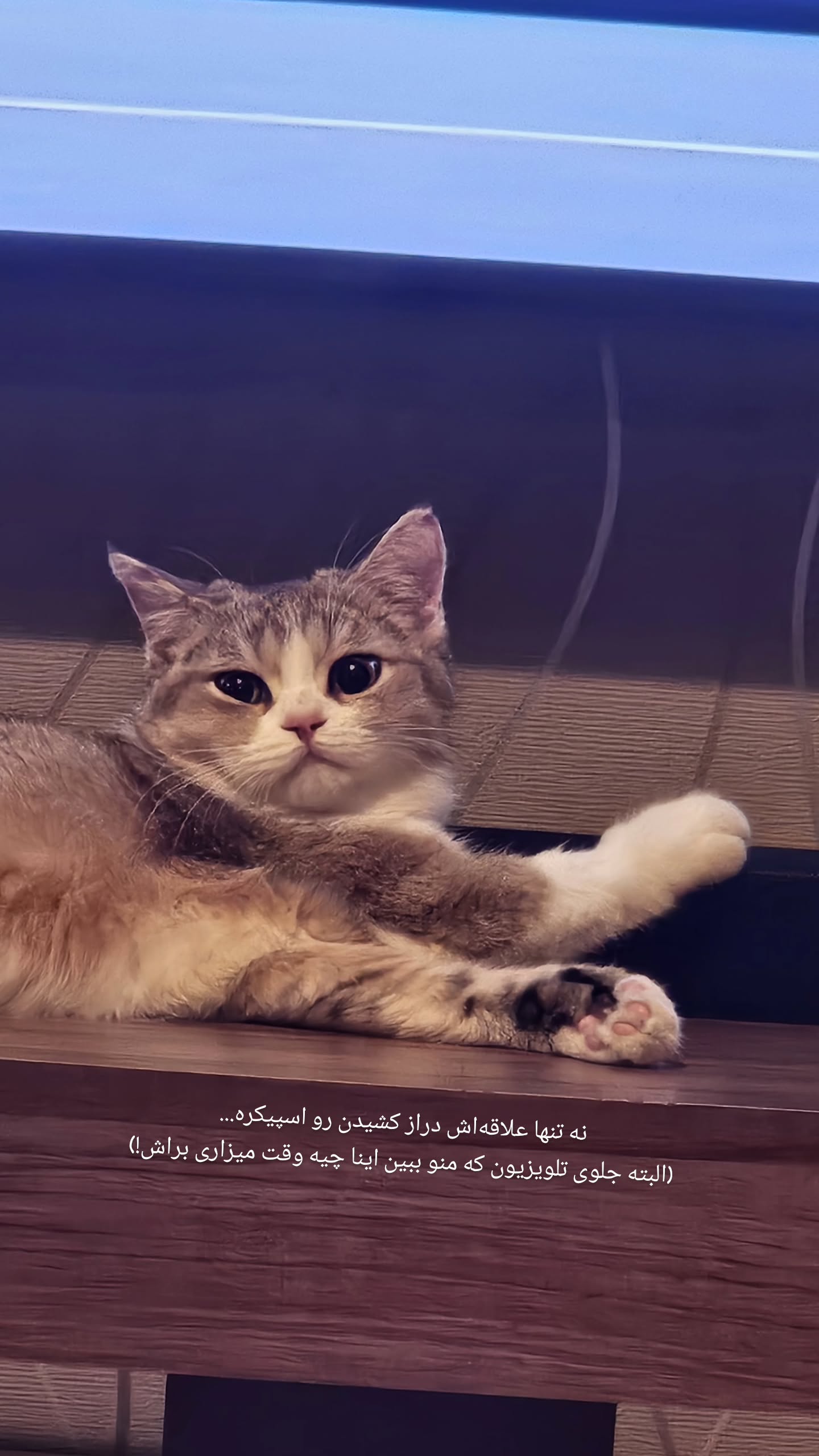  جدید ترین استوری اینستاگرام پوریا رحیمی سام