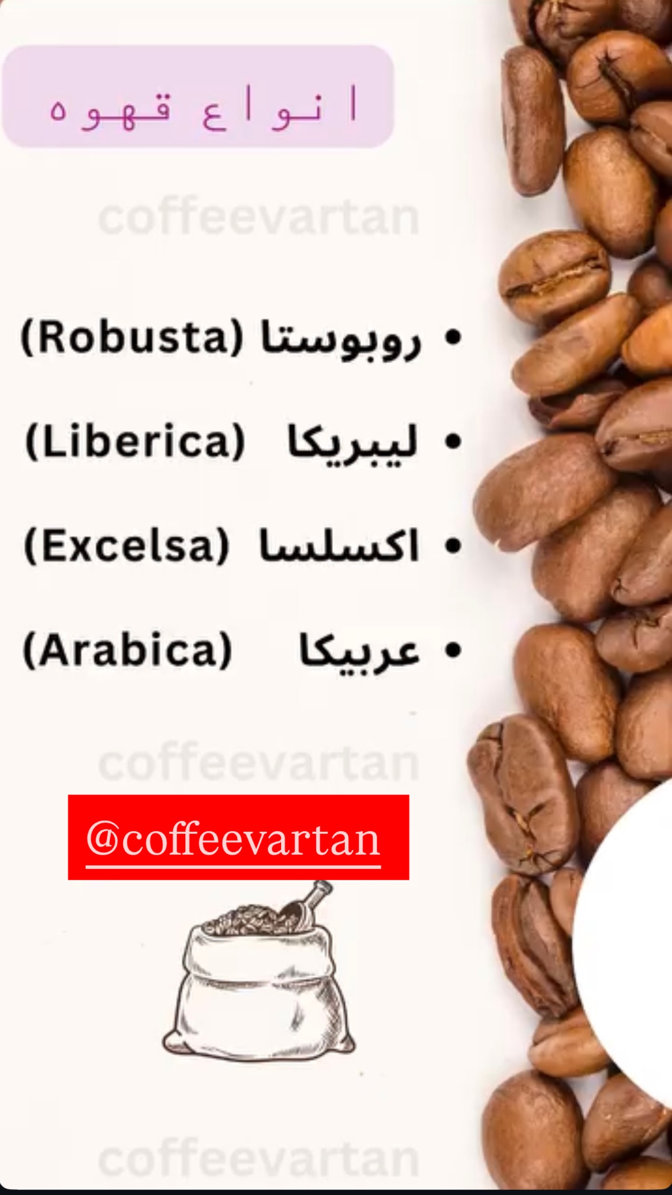 جدید ترین استوری اینستاگرام پویان نوروزی