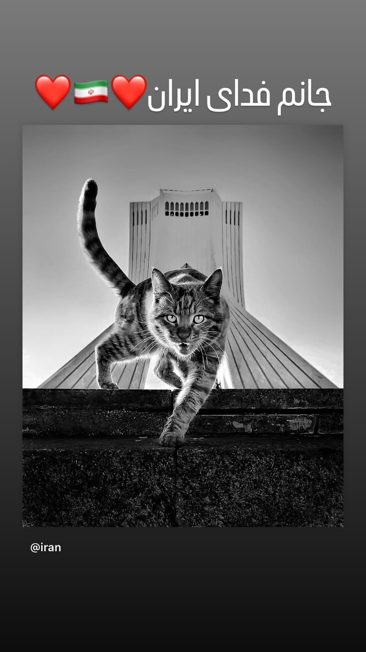  جدید ترین استوری اینستاگرام پویا دادمرز